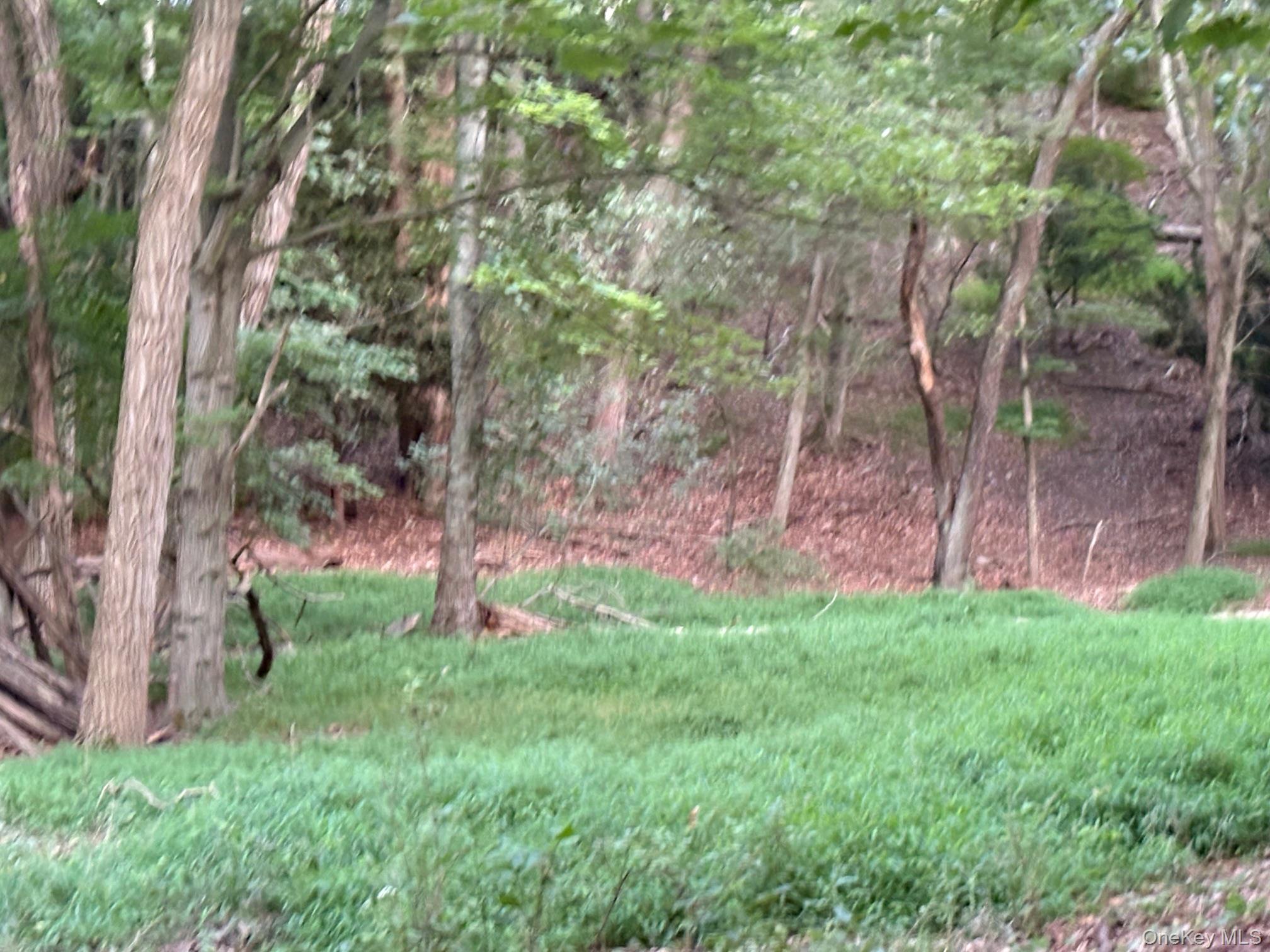 Dark Hollow Road, Port Jefferson, NY 11777