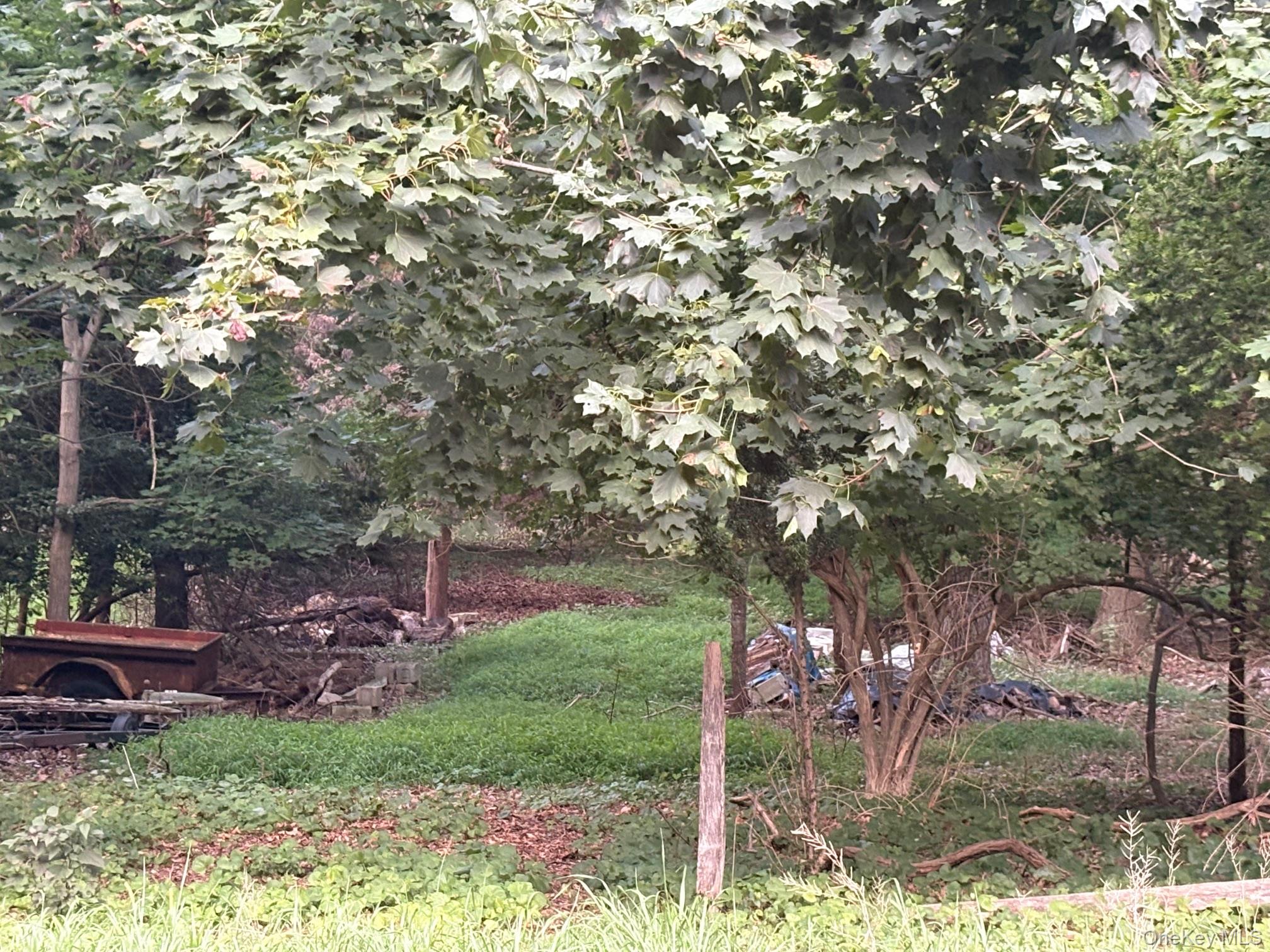 Dark Hollow Road, Port Jefferson, NY 11777