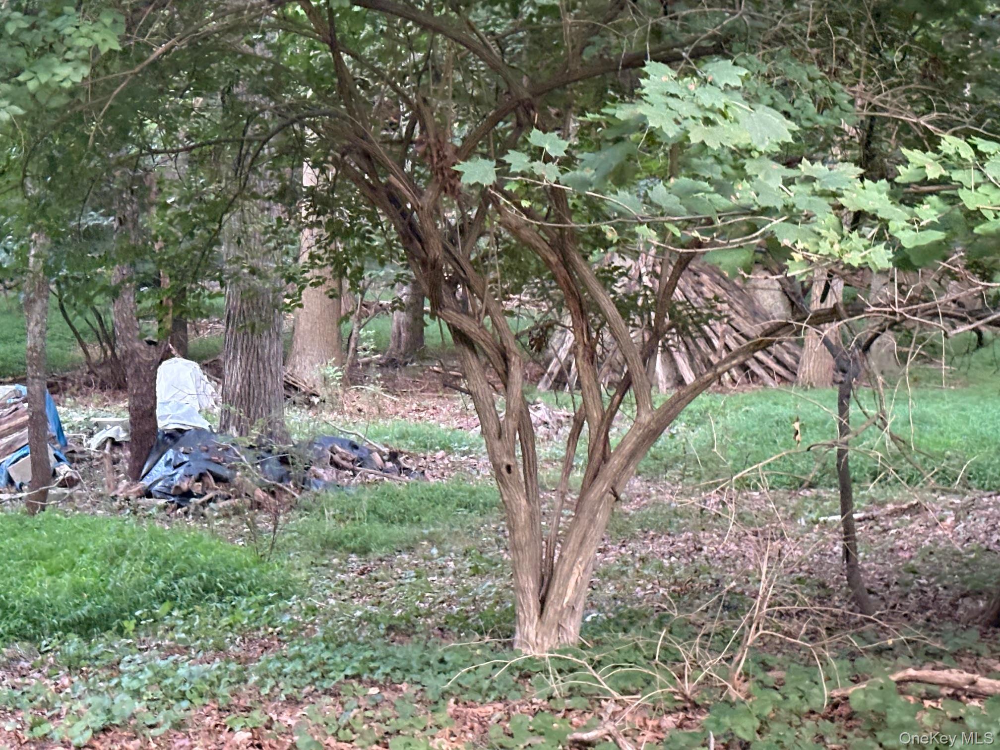 Dark Hollow Road, Port Jefferson, NY 11777