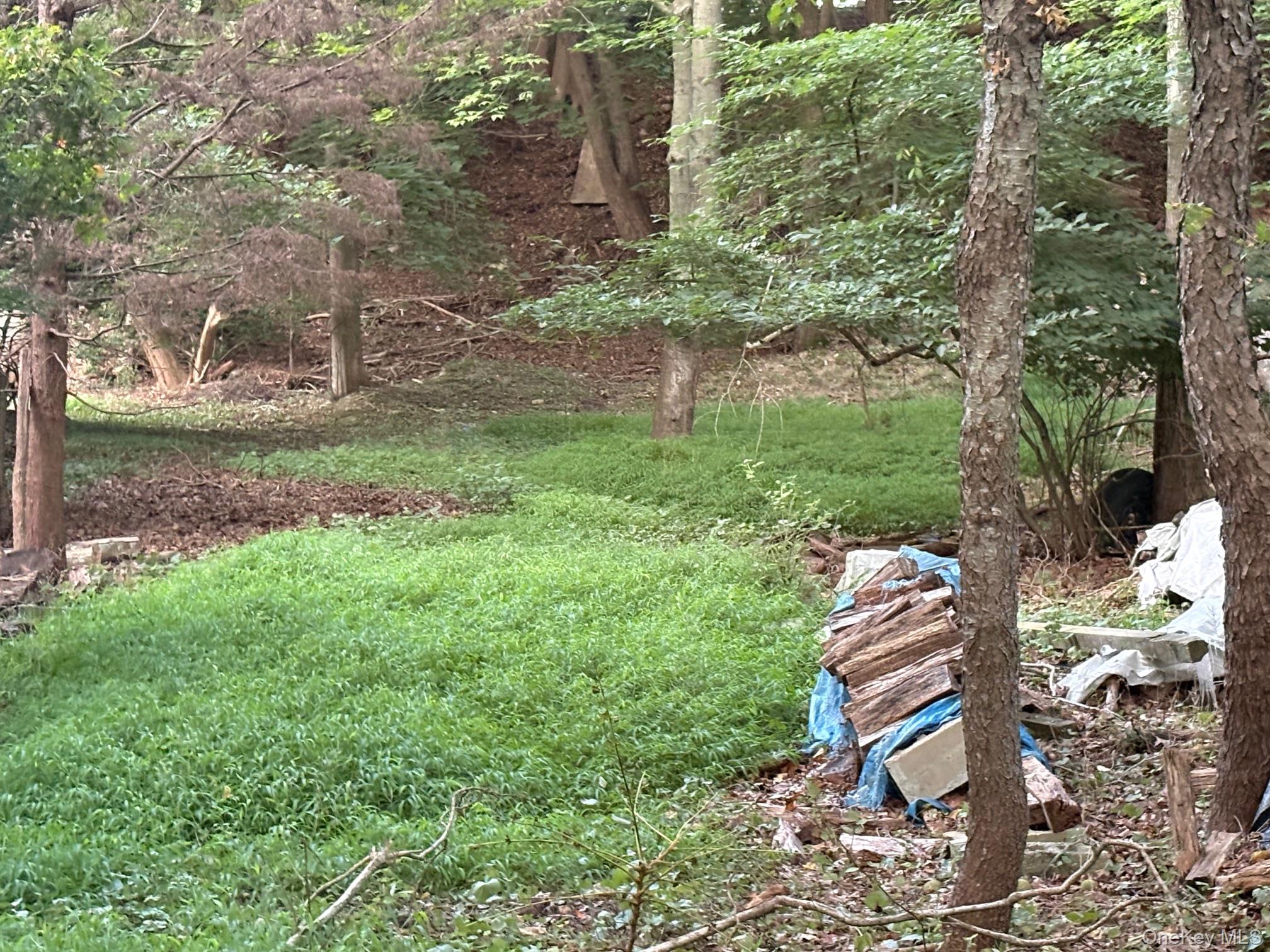 Dark Hollow Road, Port Jefferson, NY 11777