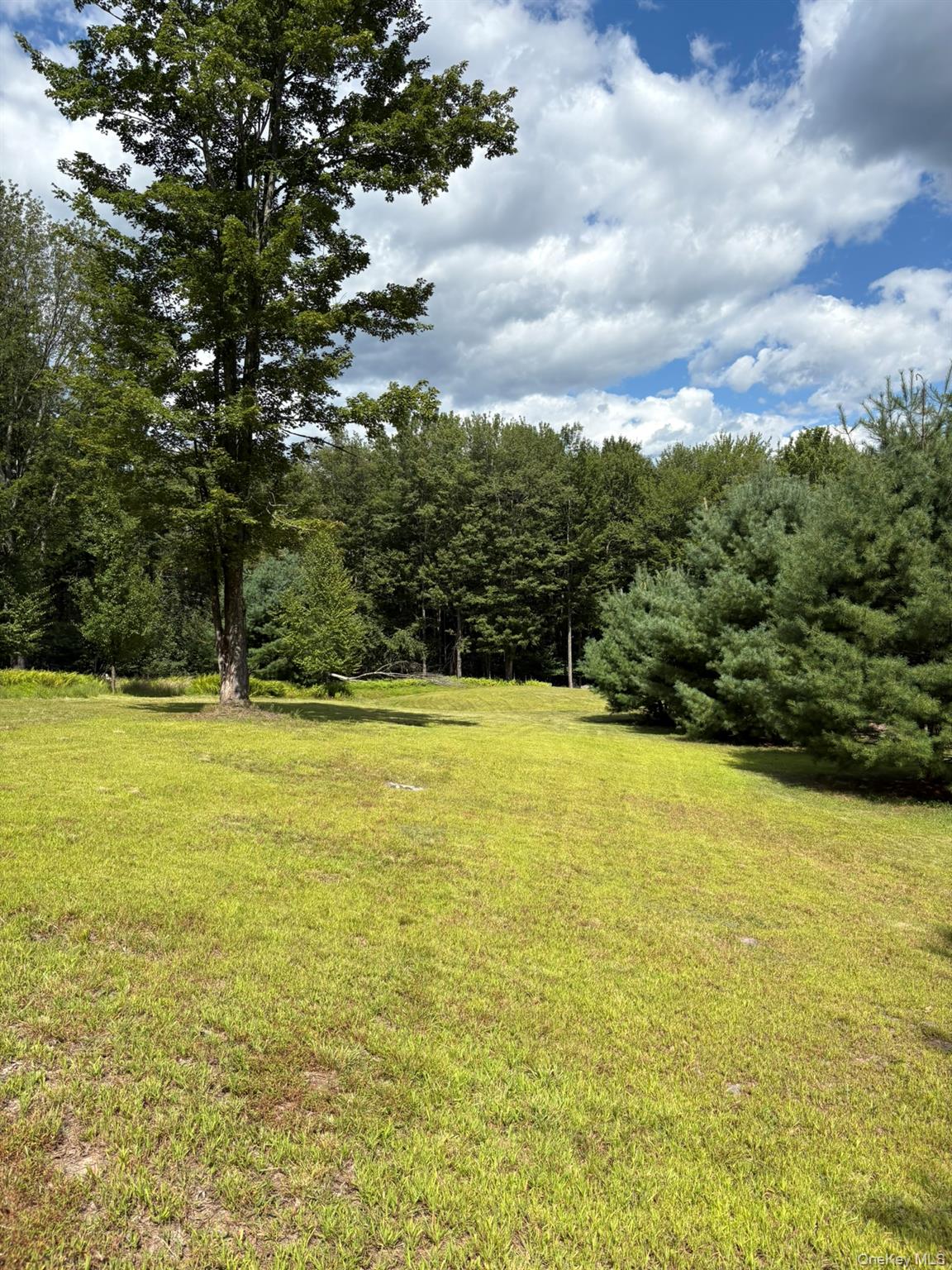 6 Schoolhouse Road, Napanoch, NY 12458