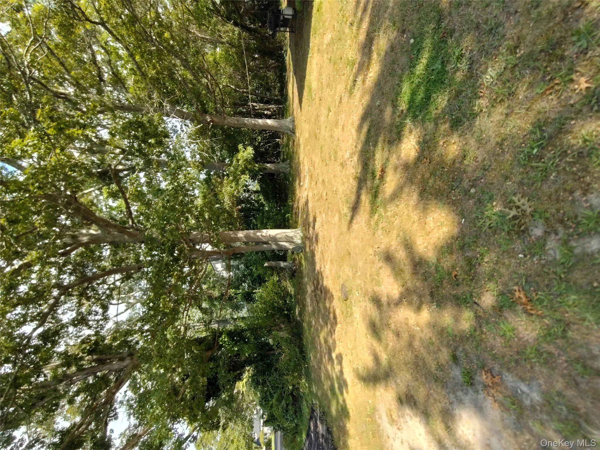 14 Wellwood Drive, Shirley, NY 11967