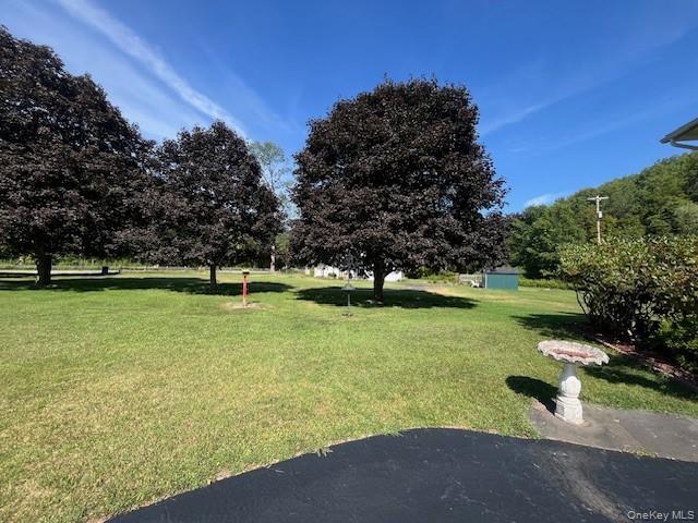 17 Watson, Roscoe, NY 12776