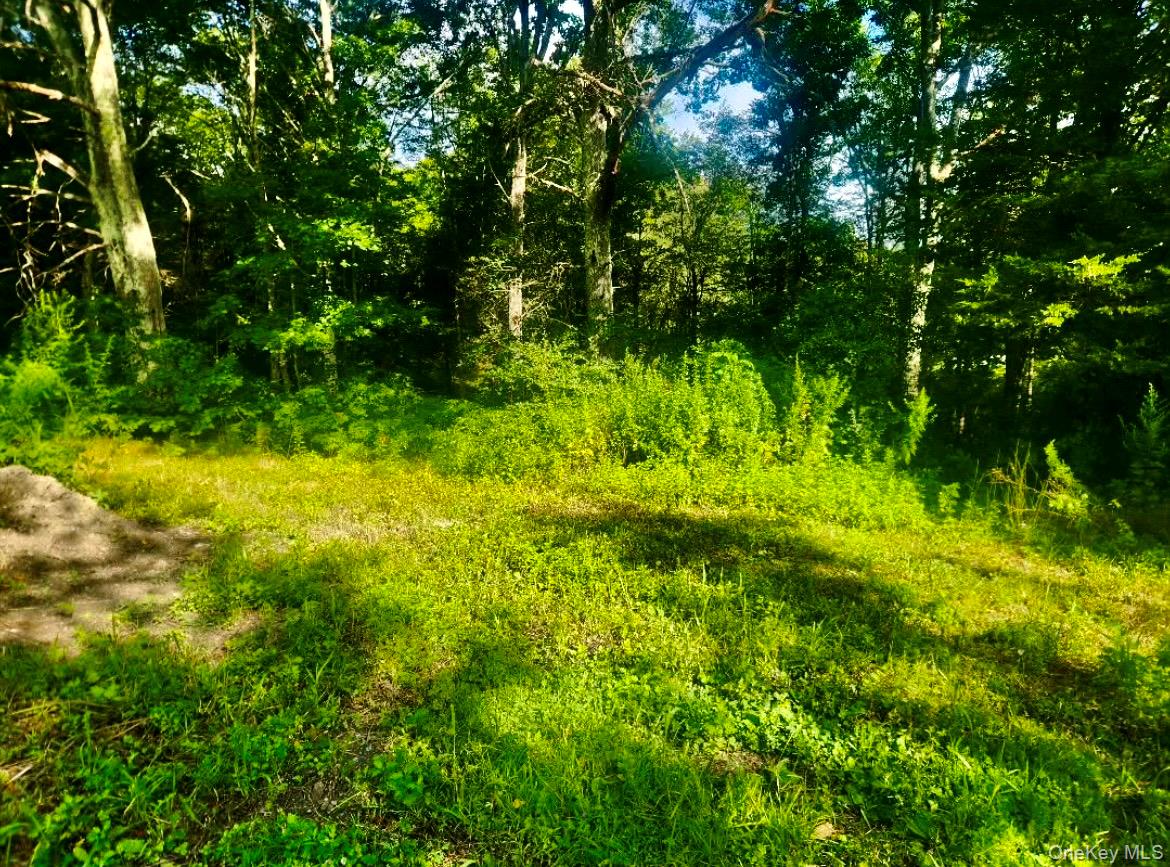 12 Talleur Road, Clinton Corners, NY