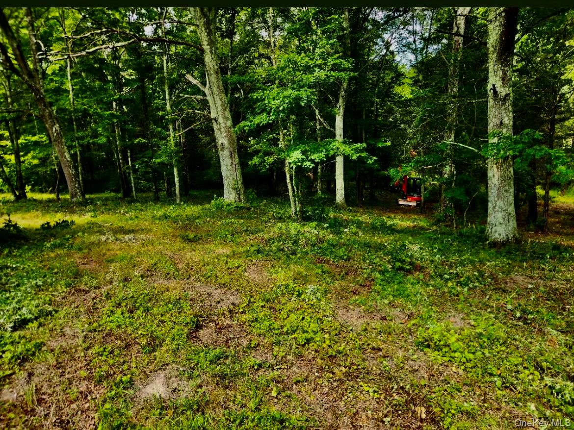 12 Talleur Road, Clinton Corners, NY