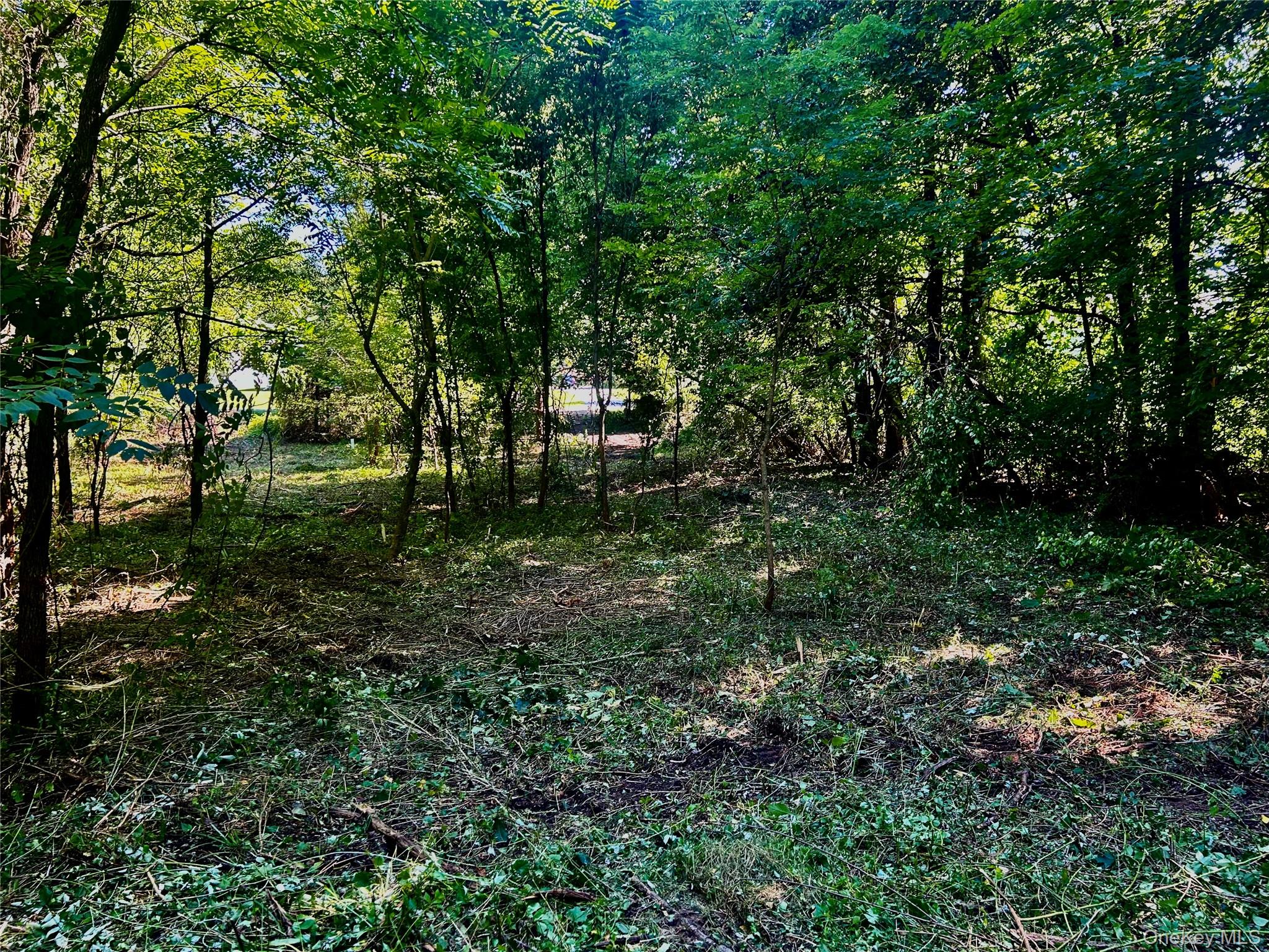 12 Talleur Road, Clinton Corners, NY