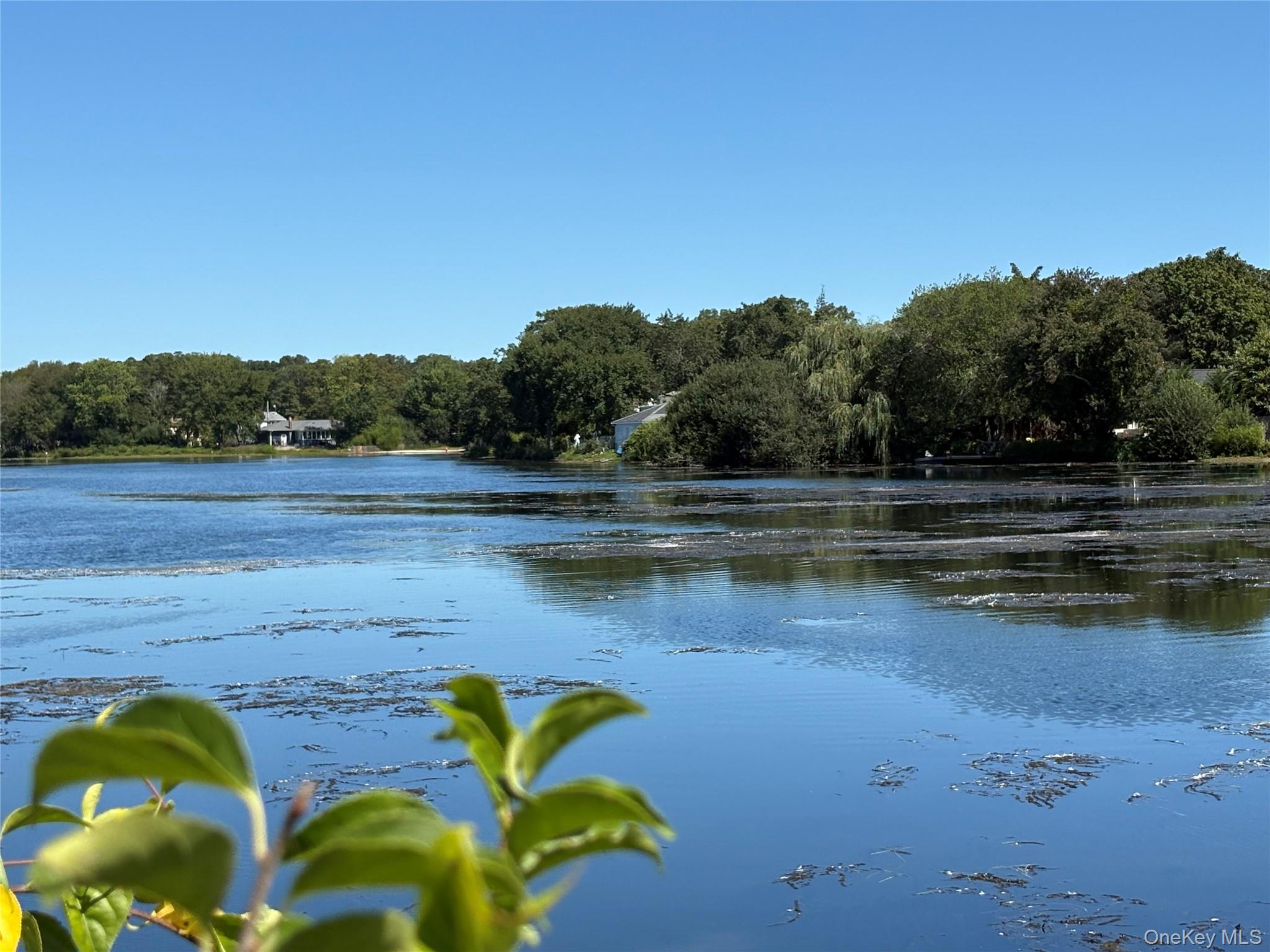 44 Lexington Avenue, Patchogue, NY 11772