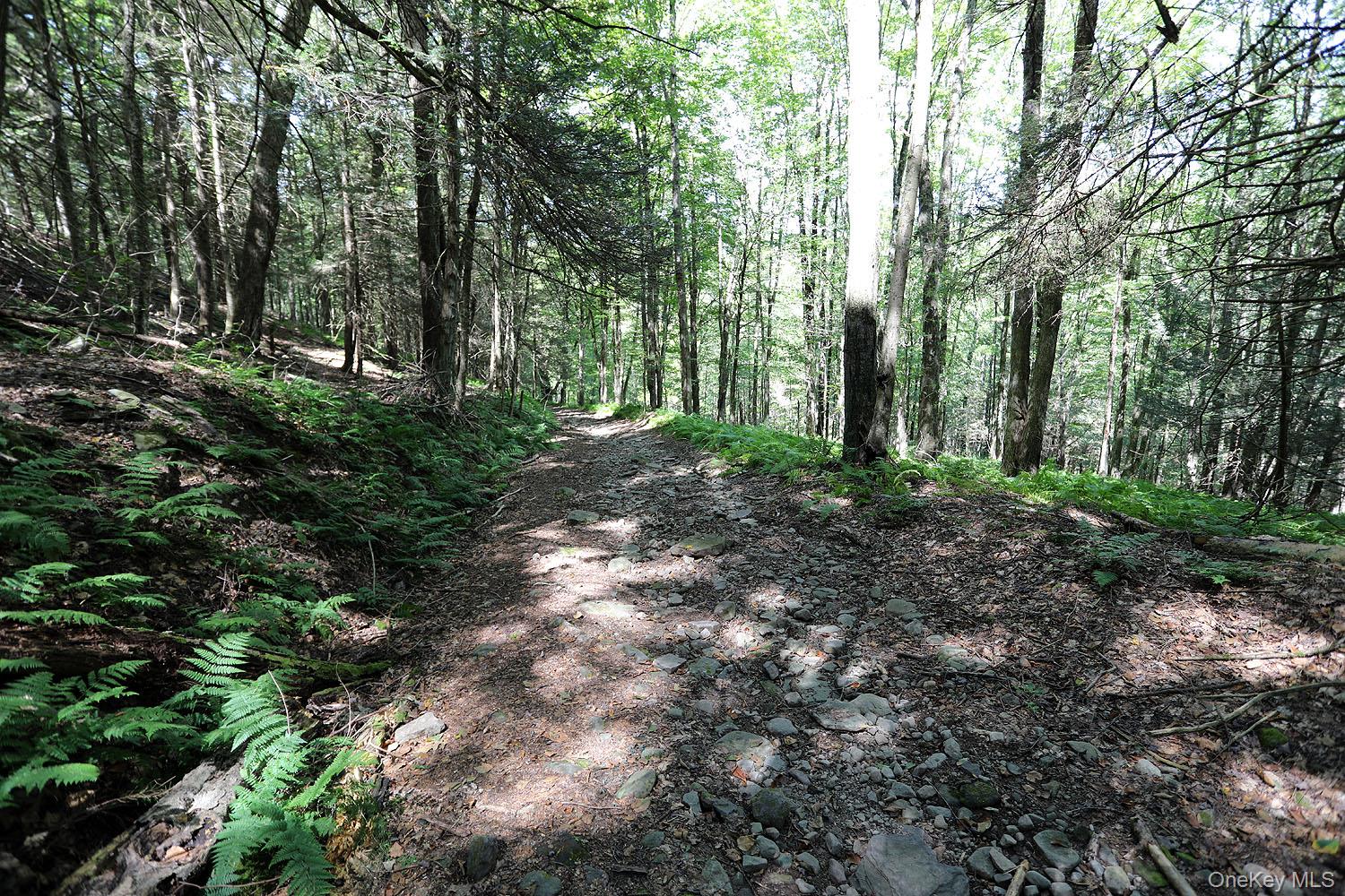 178 W Simmon Road, Callicoon, NY 12723