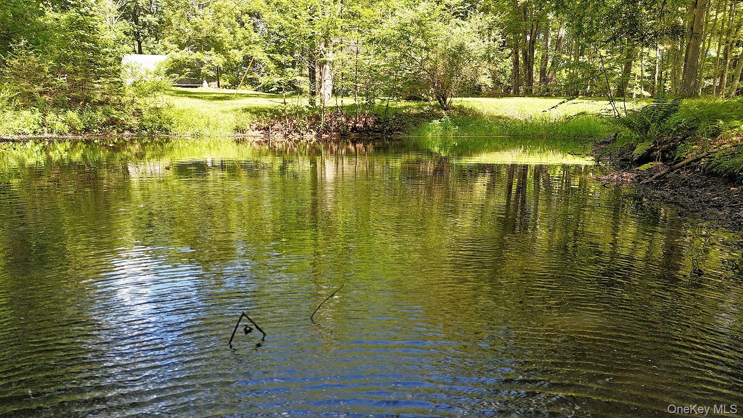 178 W Simmon Road, Callicoon, NY 12723