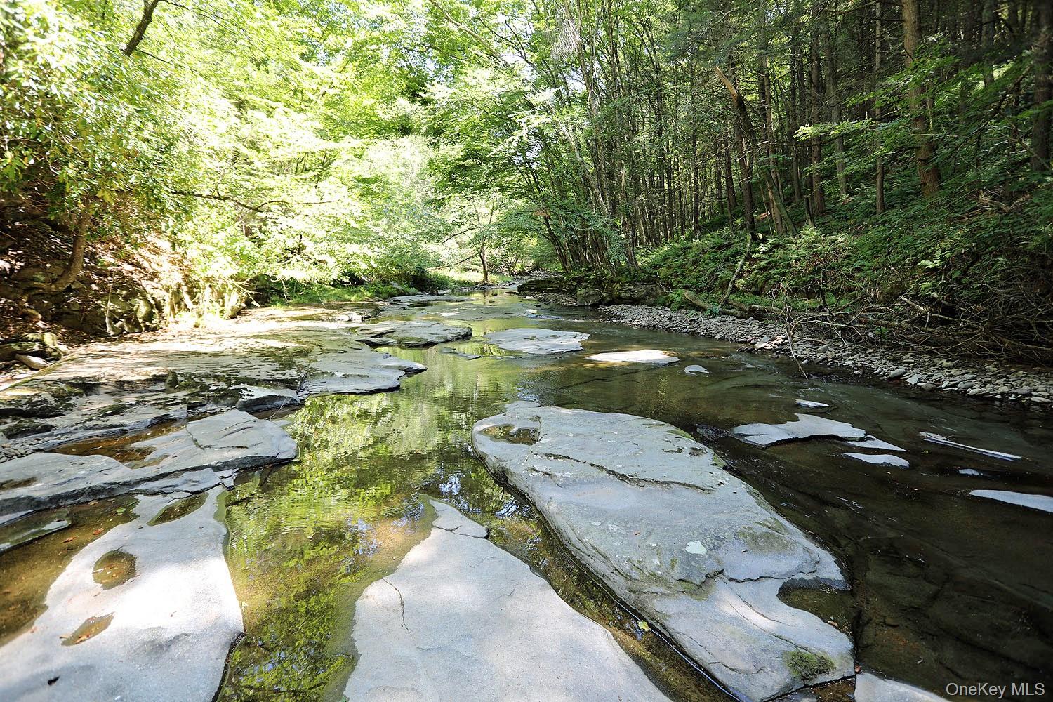 178 W Simmon Road, Callicoon, NY 12723