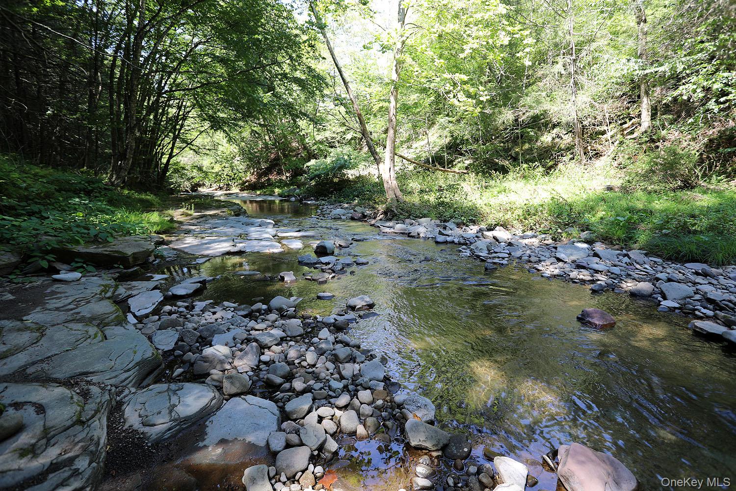 178 W Simmon Road, Callicoon, NY 12723