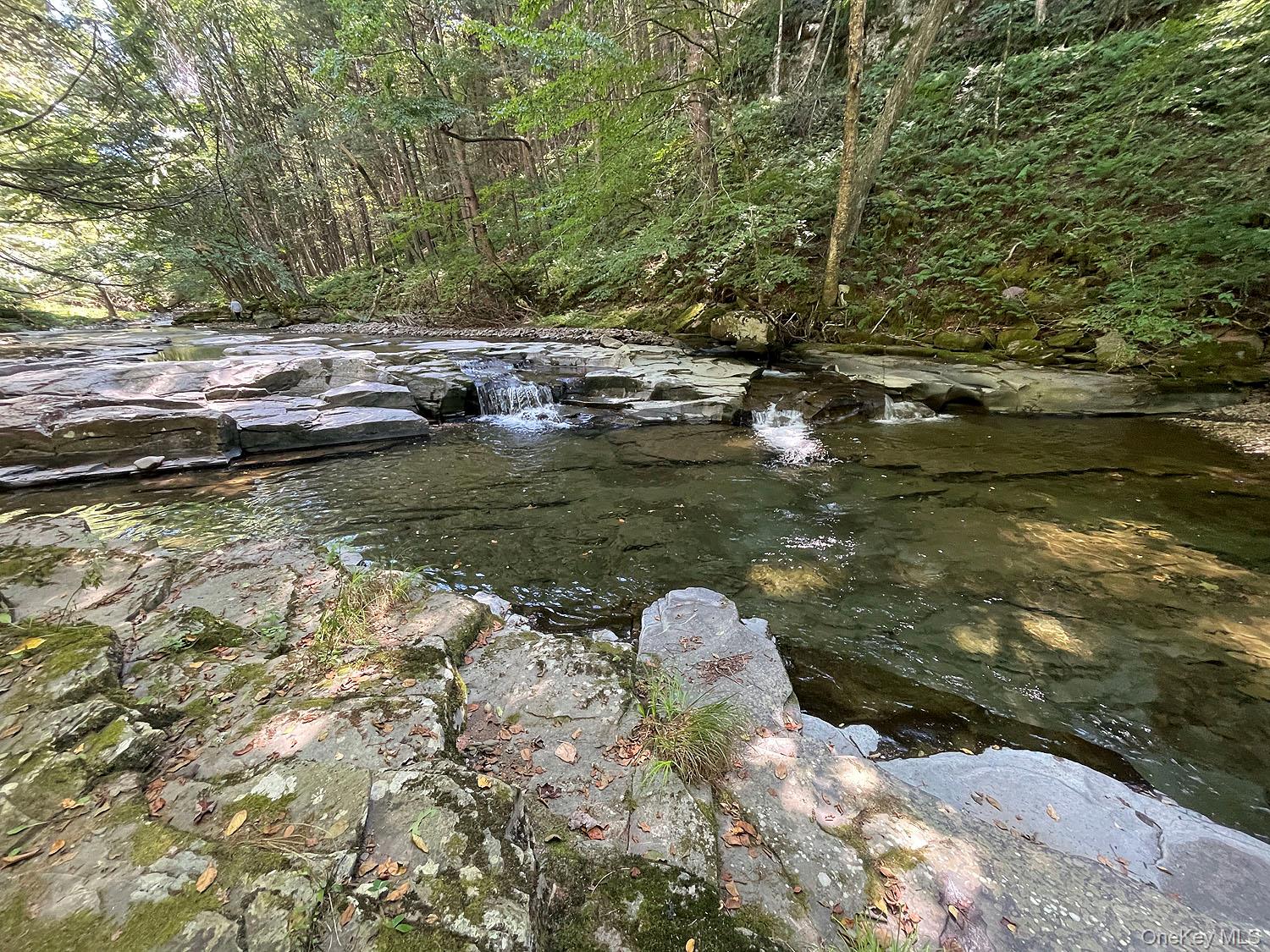 178 W Simmon Road, Callicoon, NY 12723