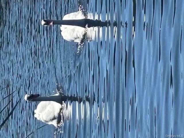 36 Roosevelt Boulevard, East Patchogue, NY 11772