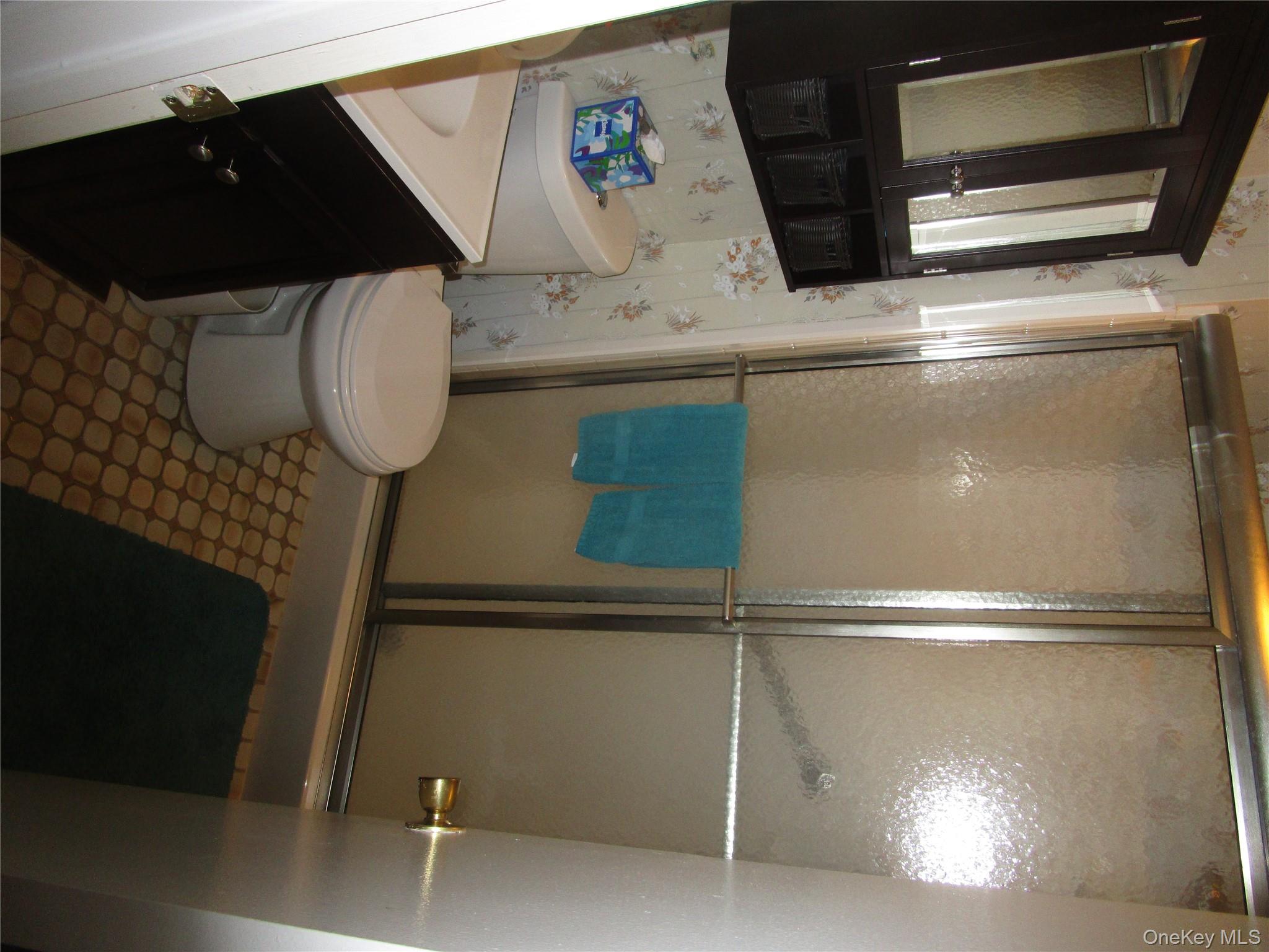 217 Birchwood Road, Coram, NY 11727