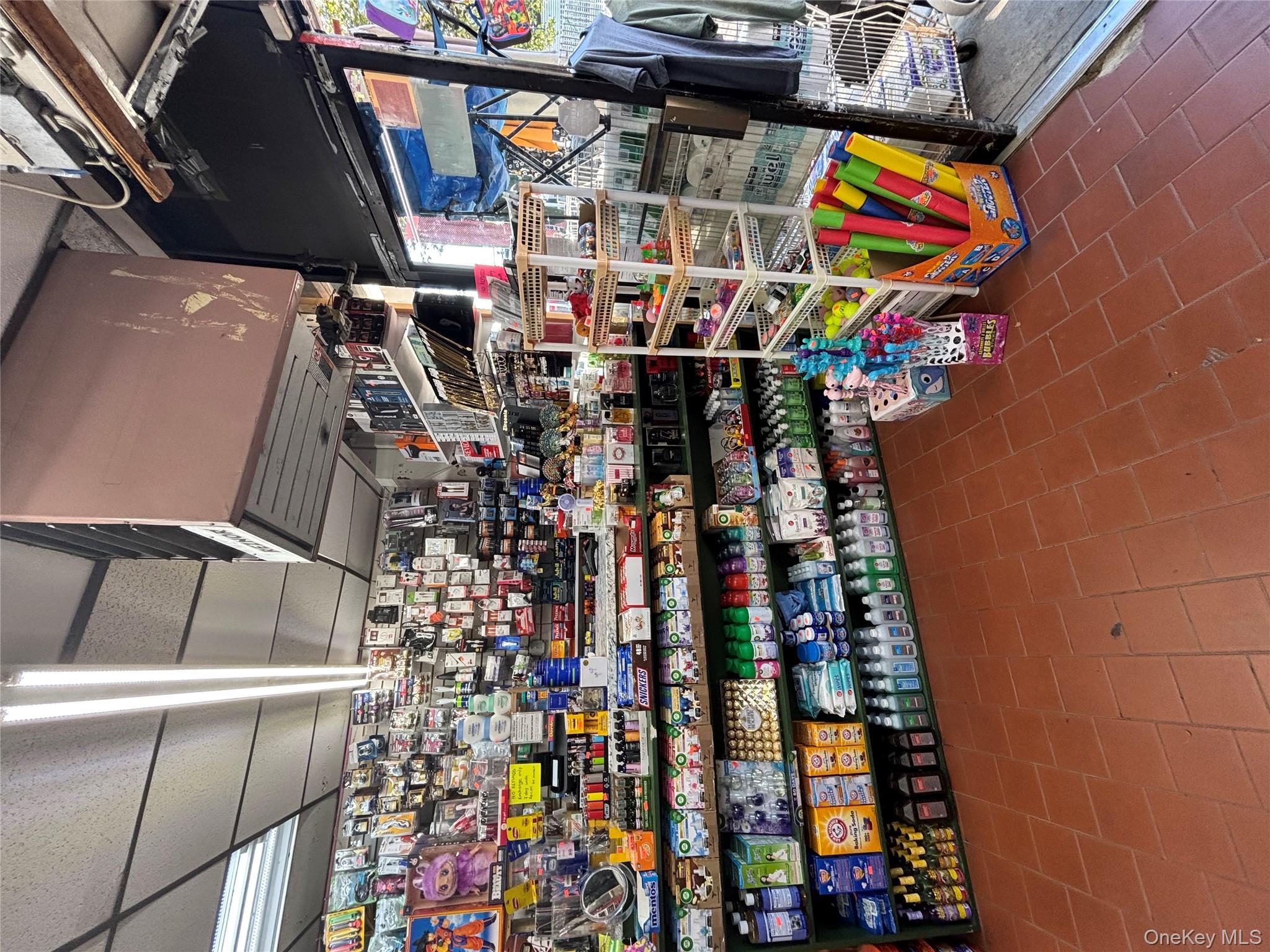 3036 buhre Ave, Bronx, NY 10461