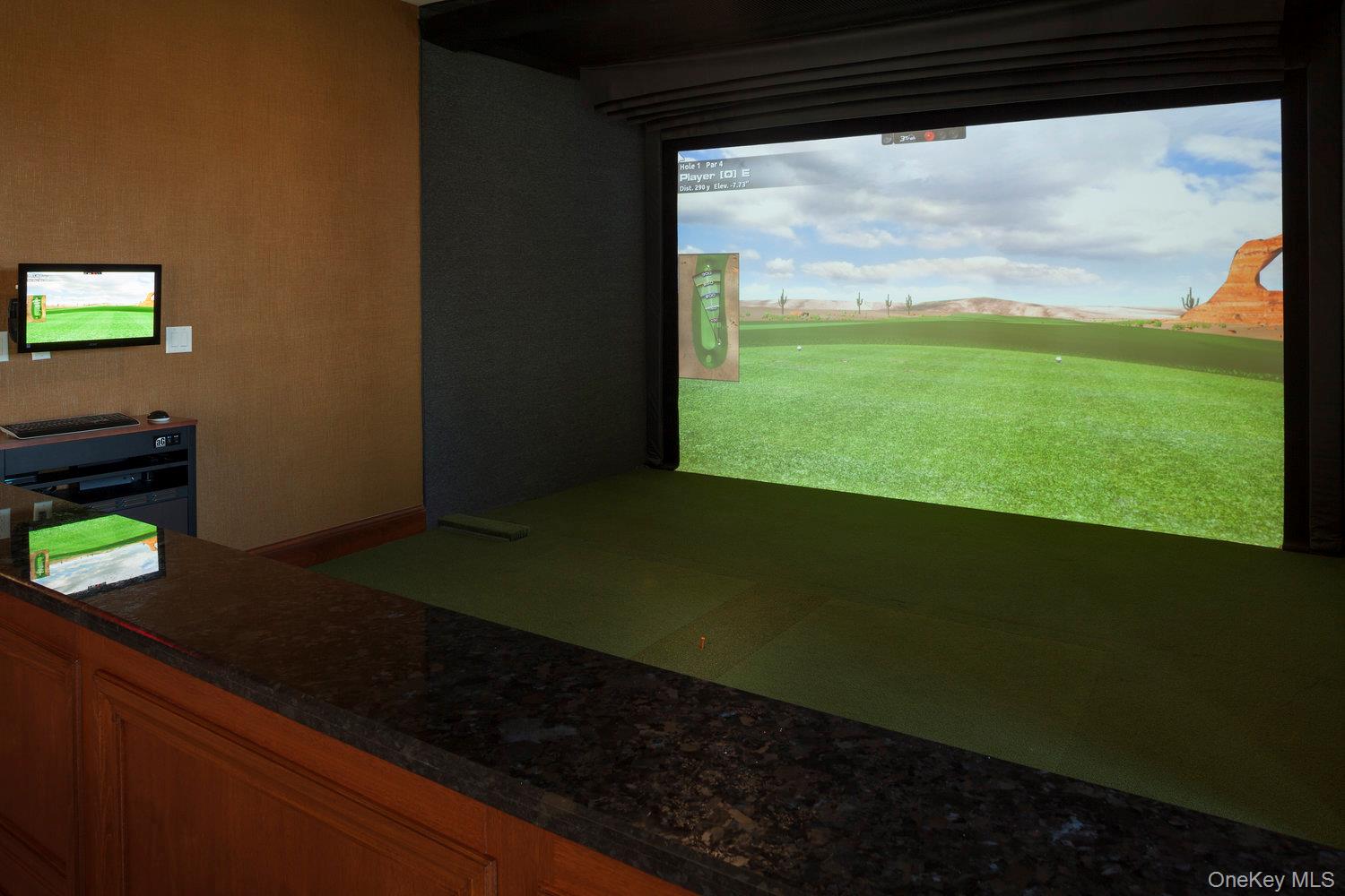 6000 Royal Court # 6307, North Hills, NY 11040