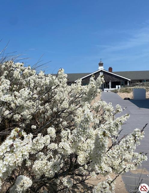 2178 Montauk # 20, Amagansett, NY 11930