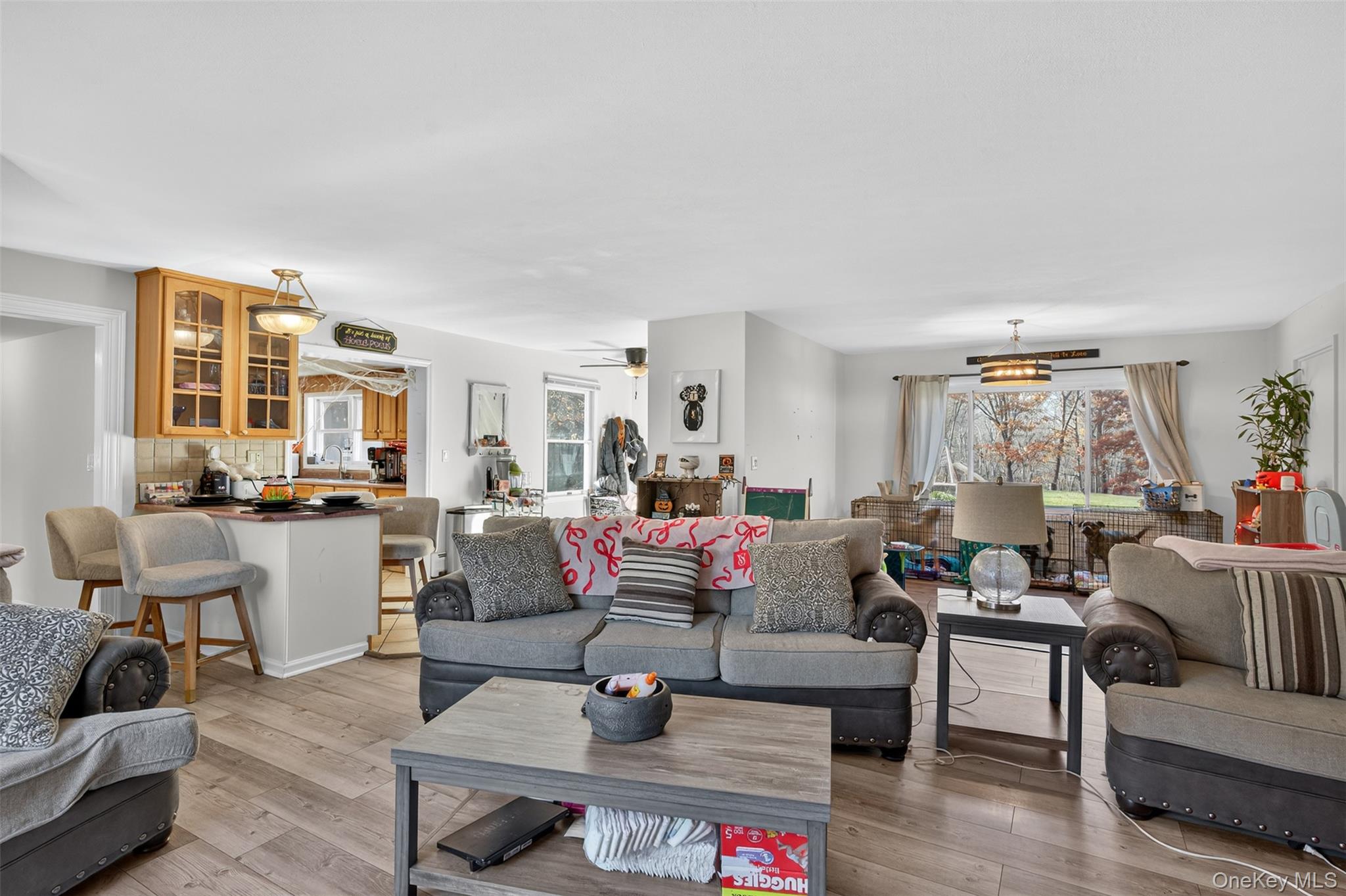 412 Ruskey Lane, Hyde Park, NY 12538