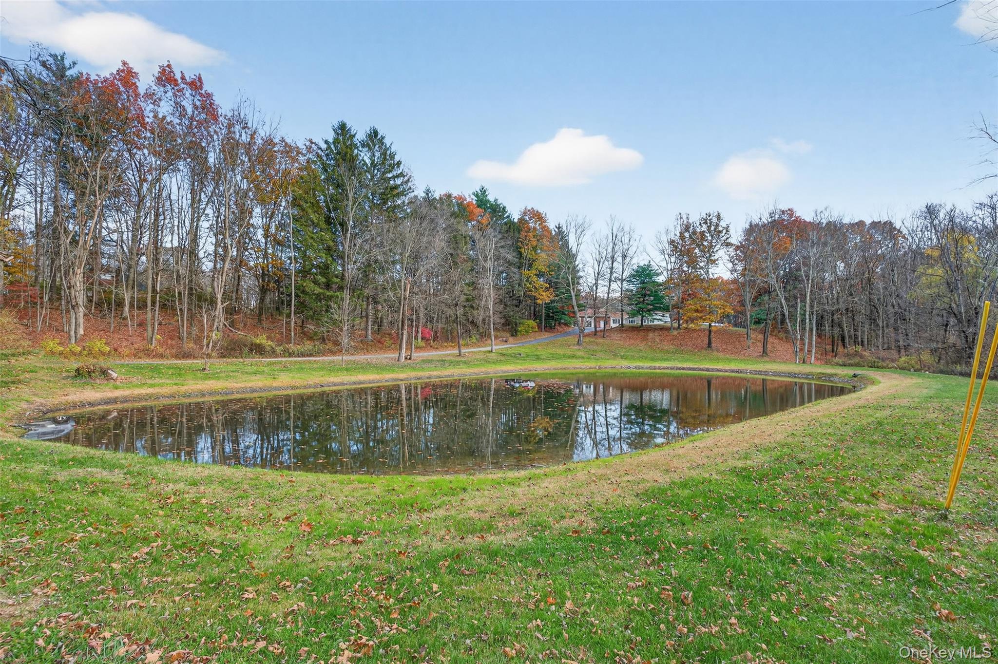 412 Ruskey Lane, Hyde Park, NY 12538