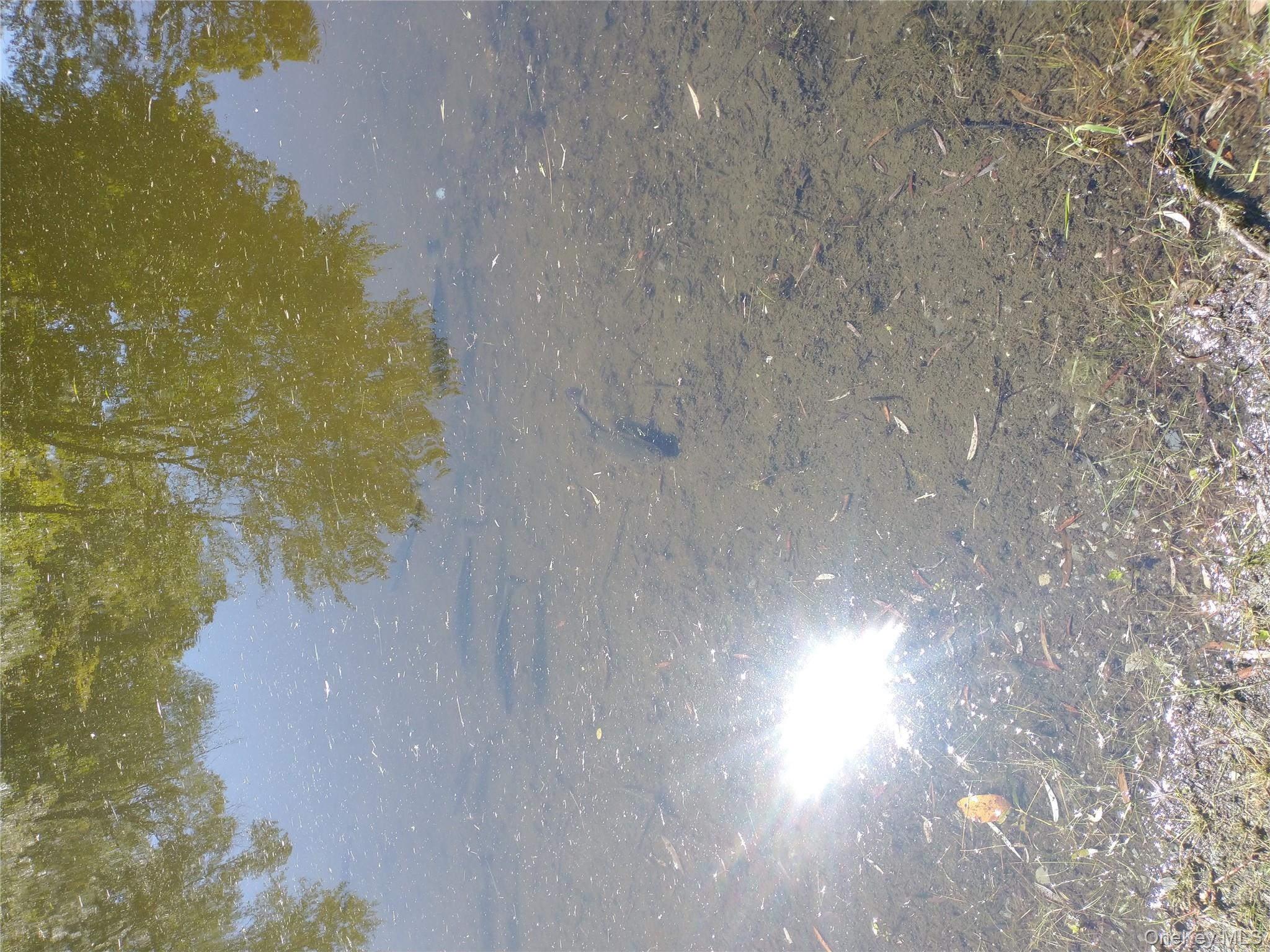 412 Ruskey Lane, Hyde Park, NY 12538