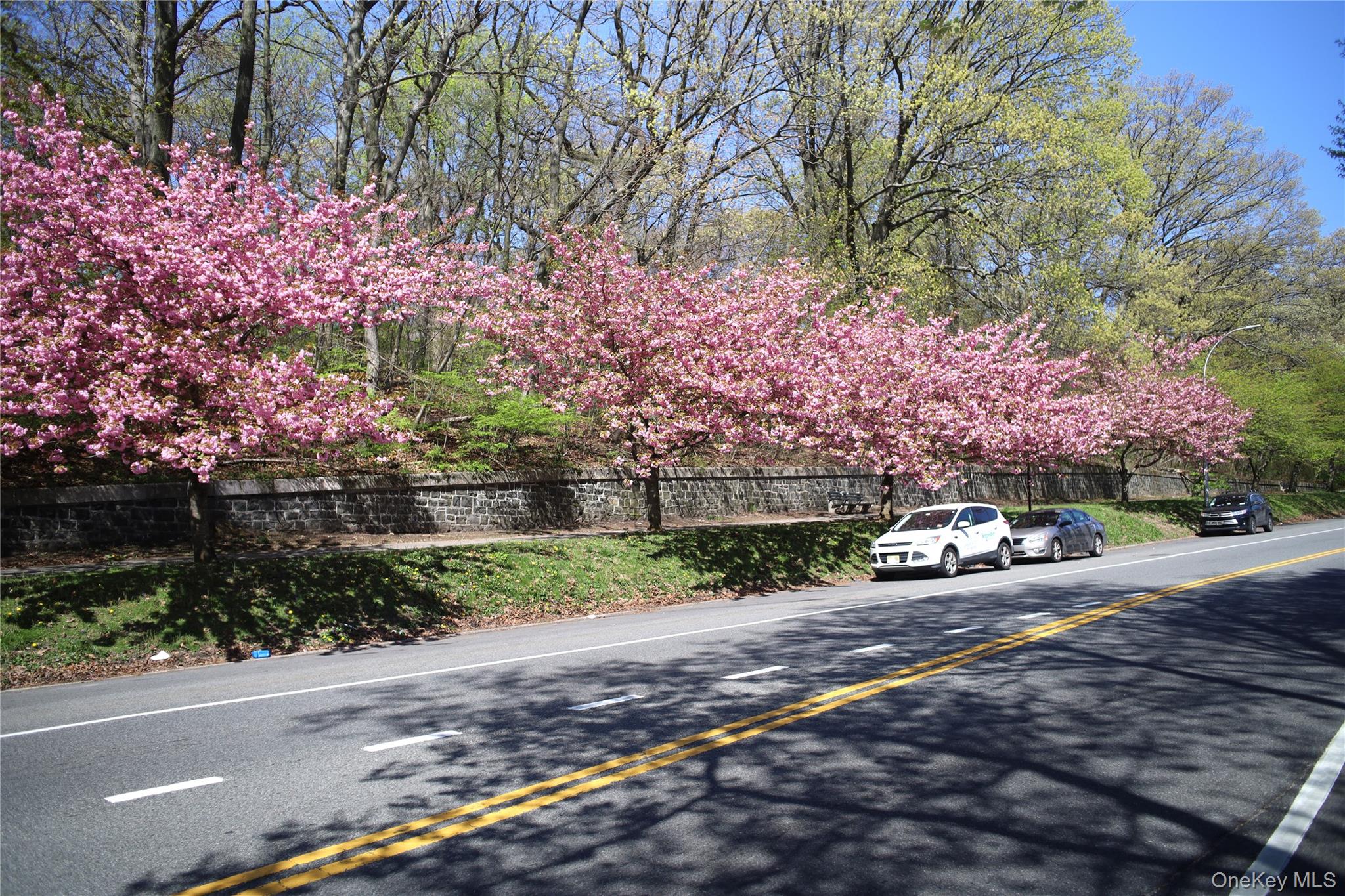 123-40 83rd Avenue # 1A, Kew Gardens, NY 11415