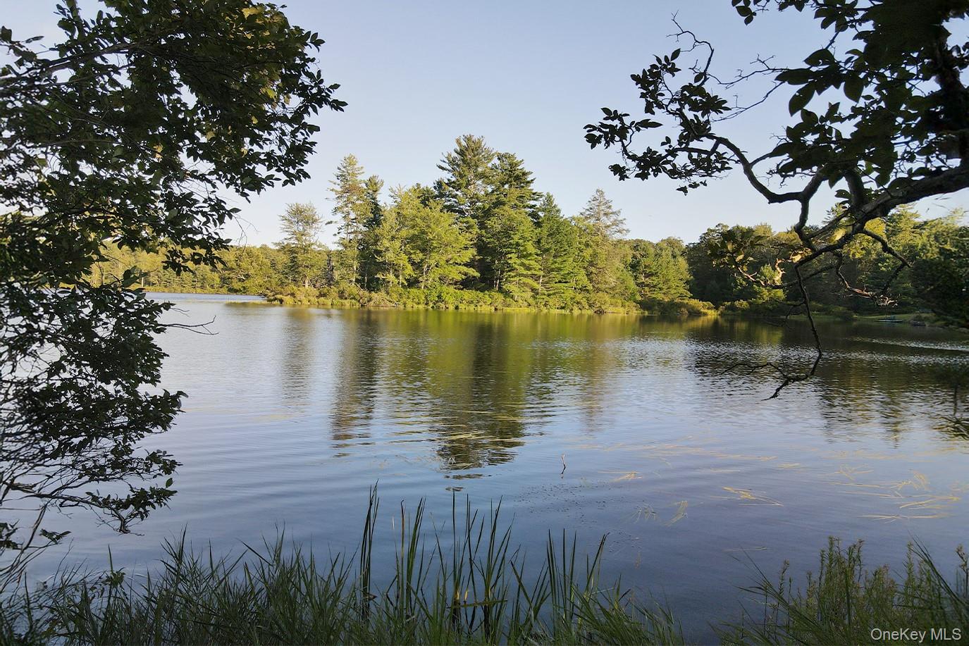 2 Lena Road, Forestburgh, NY