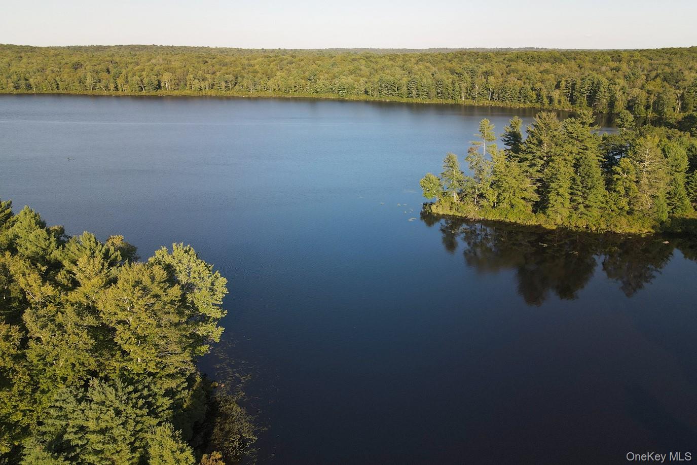 2 Lena Road, Forestburgh, NY