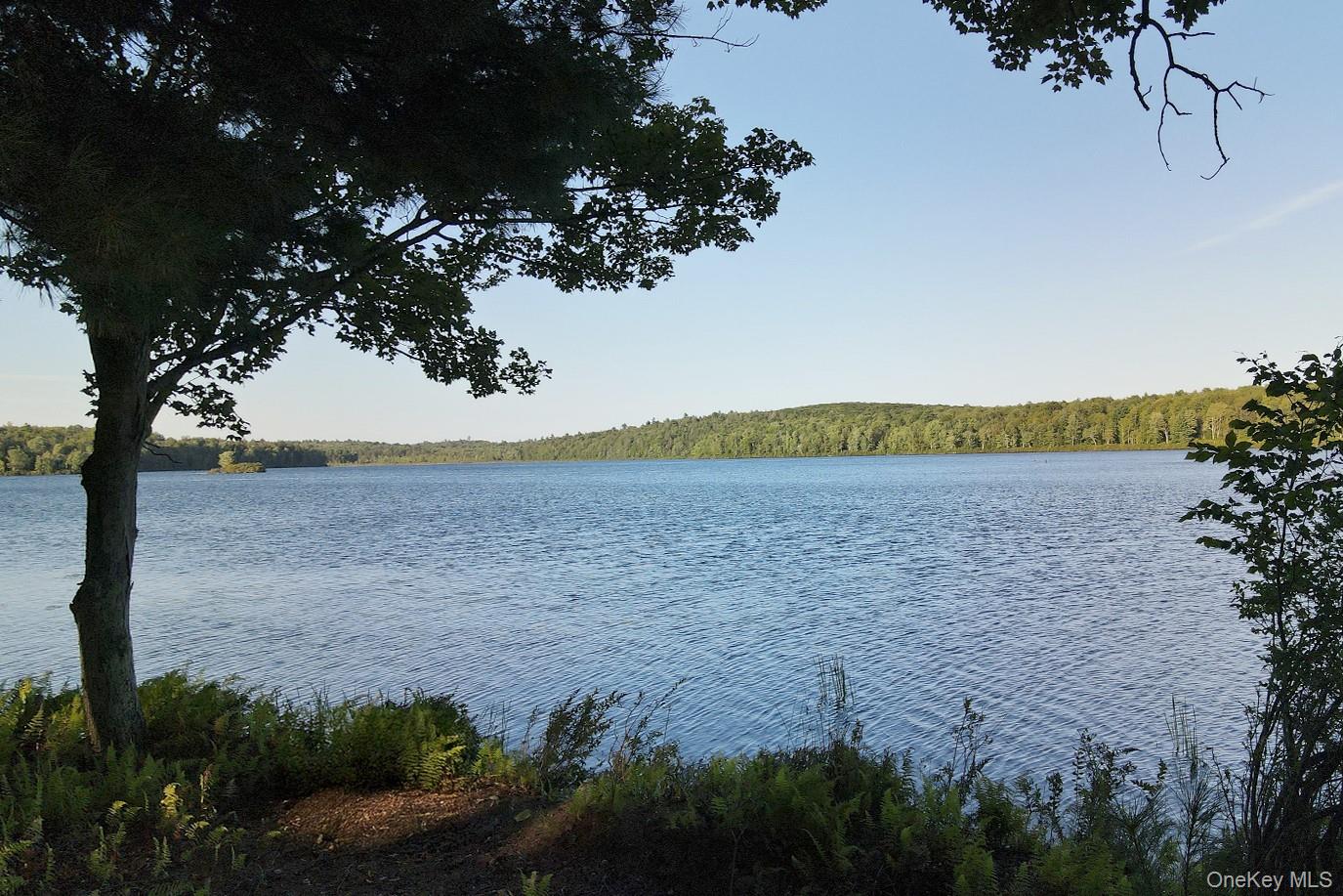 2 Lena Road, Forestburgh, NY