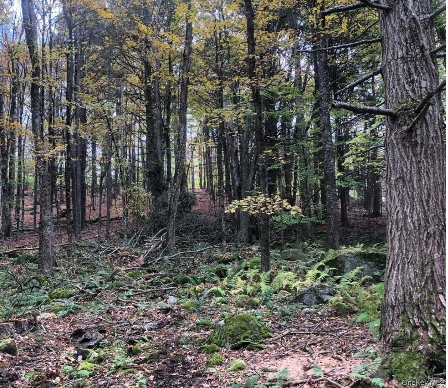 126 Devany Road, Ferndale, NY 12734