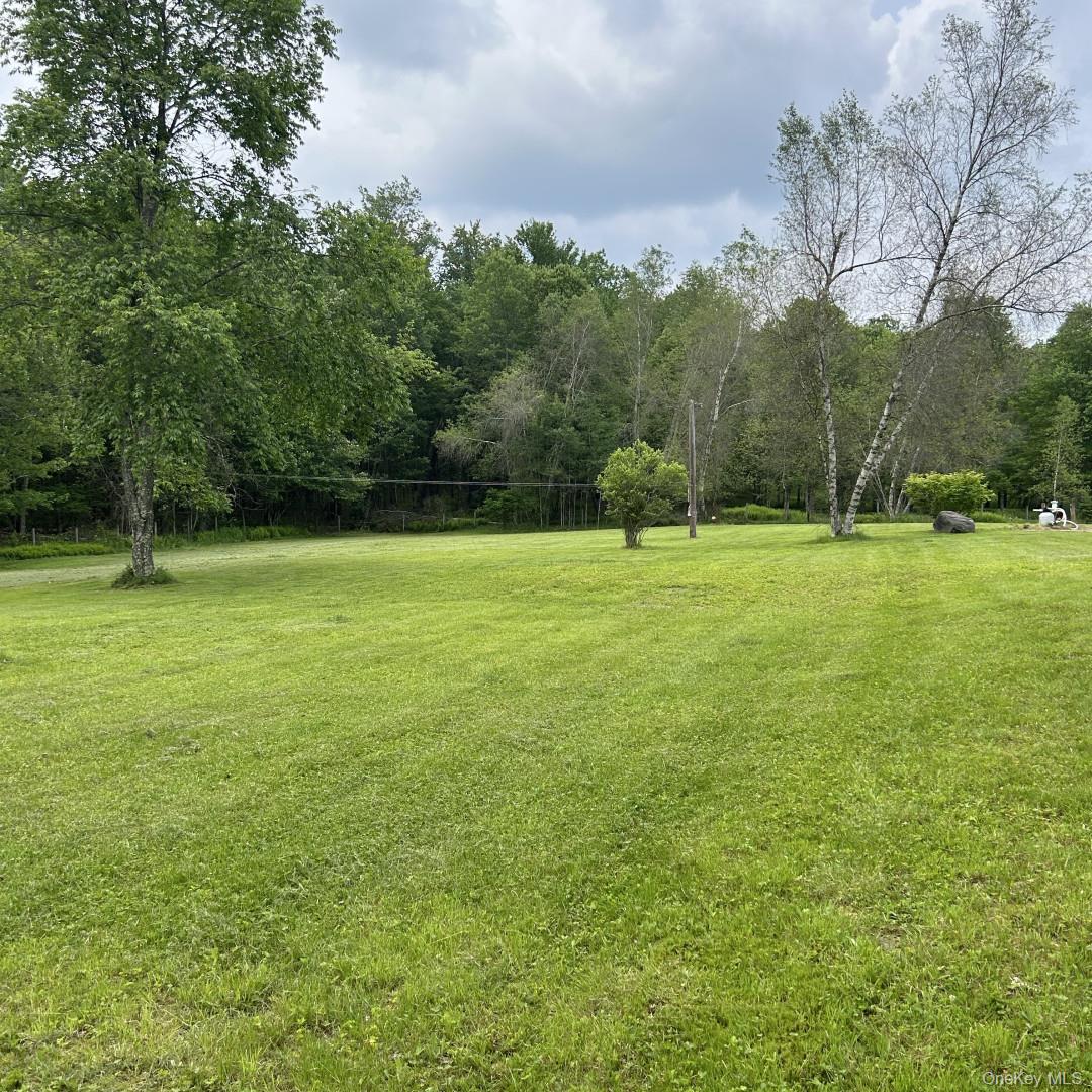 69 Crabby Road, Loch Sheldrake, NY 12759