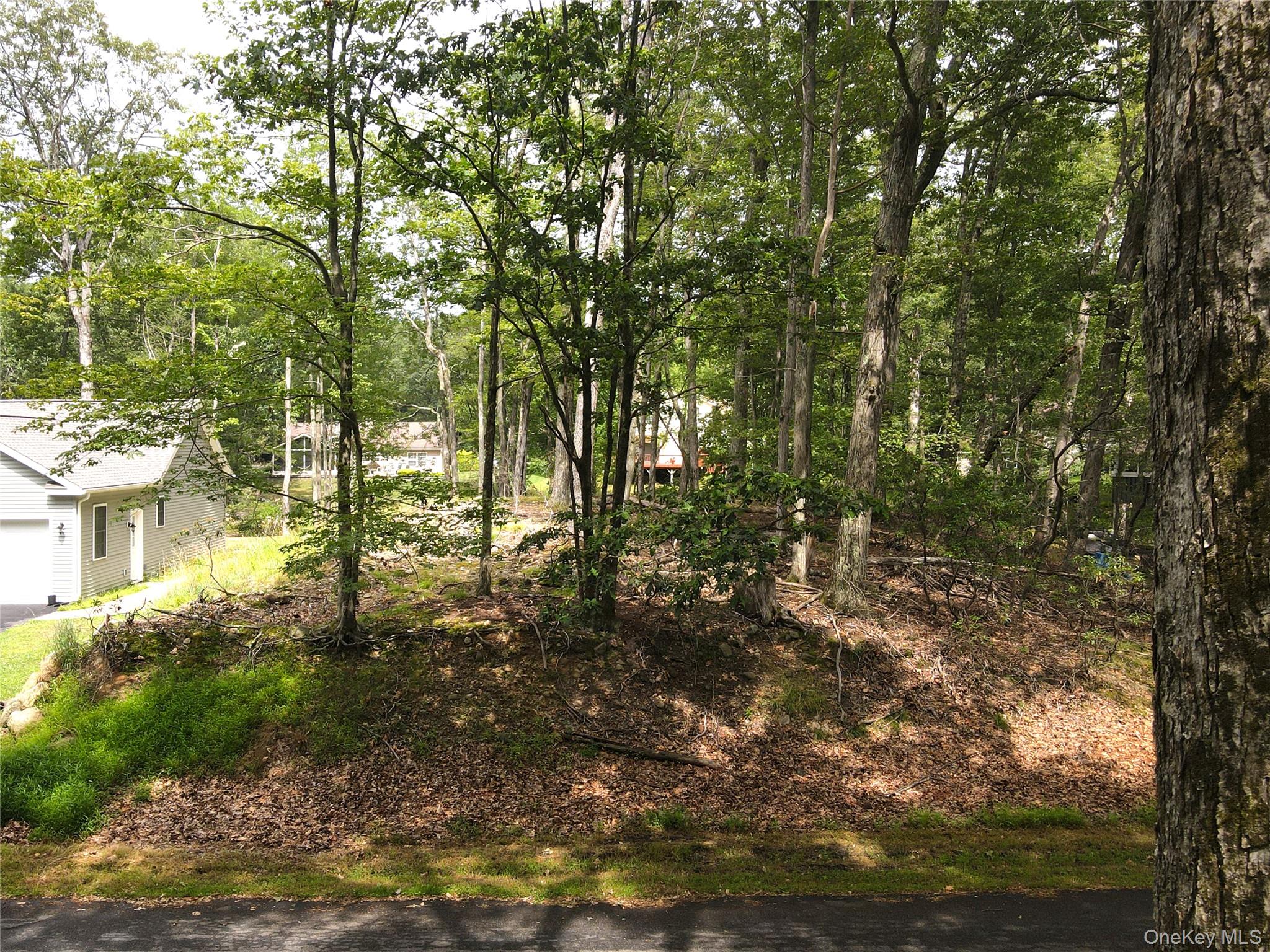 32 Pond Lane, Rock Hill, NY 12775