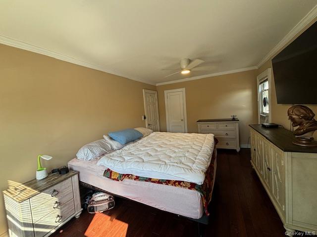 452 Macatee Place, Mineola, NY 11501