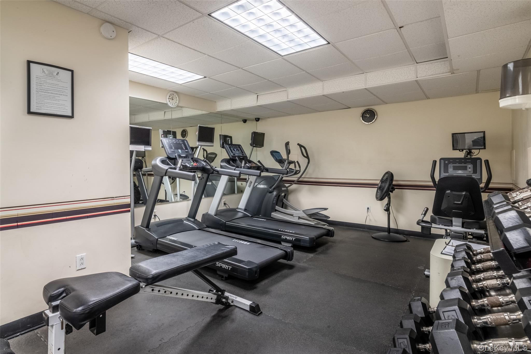 1255 North Avenue # B 6Q, New Rochelle, NY 10804