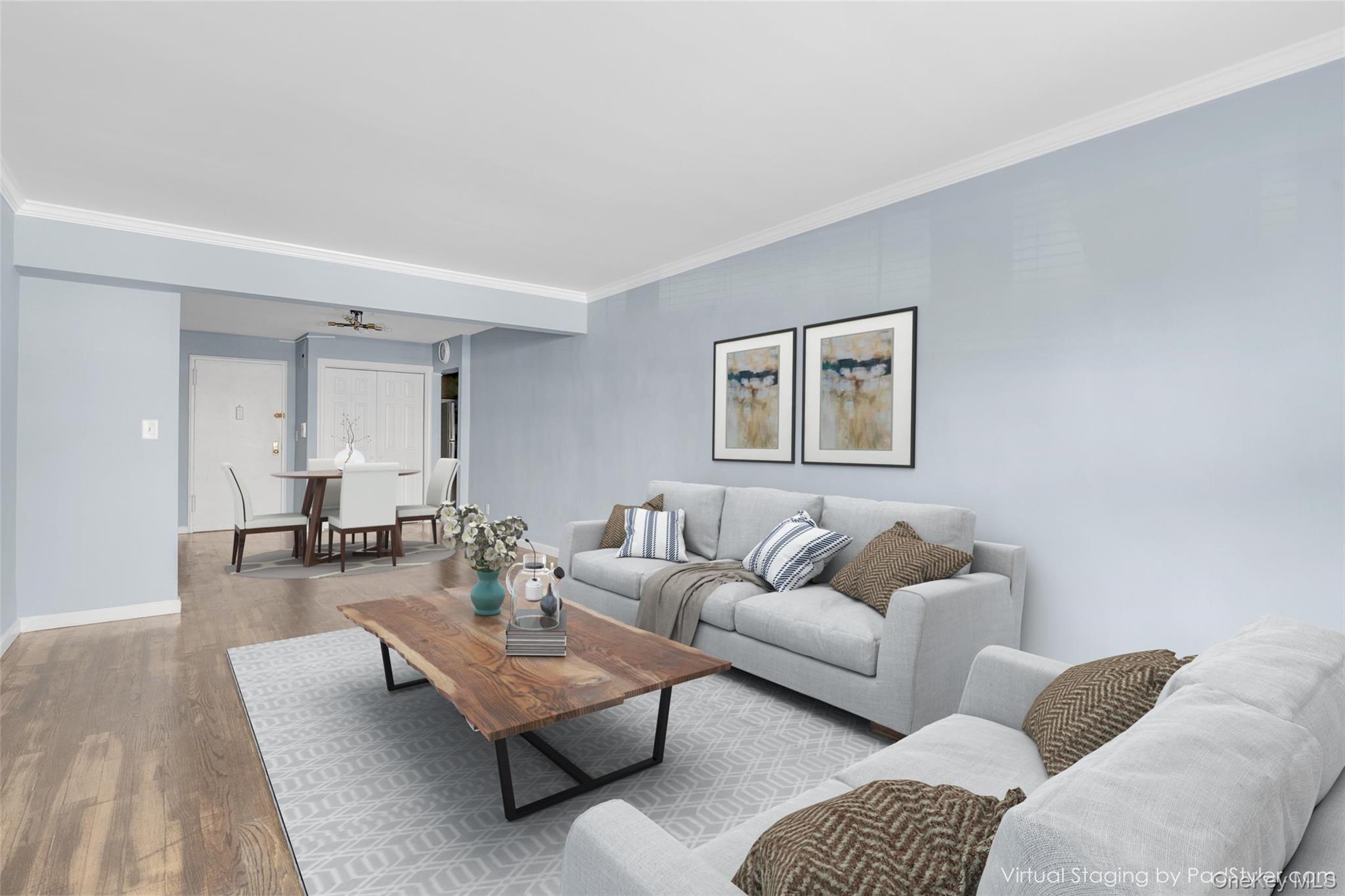 2 Birchwood Court # 1O, Mineola, NY 11501