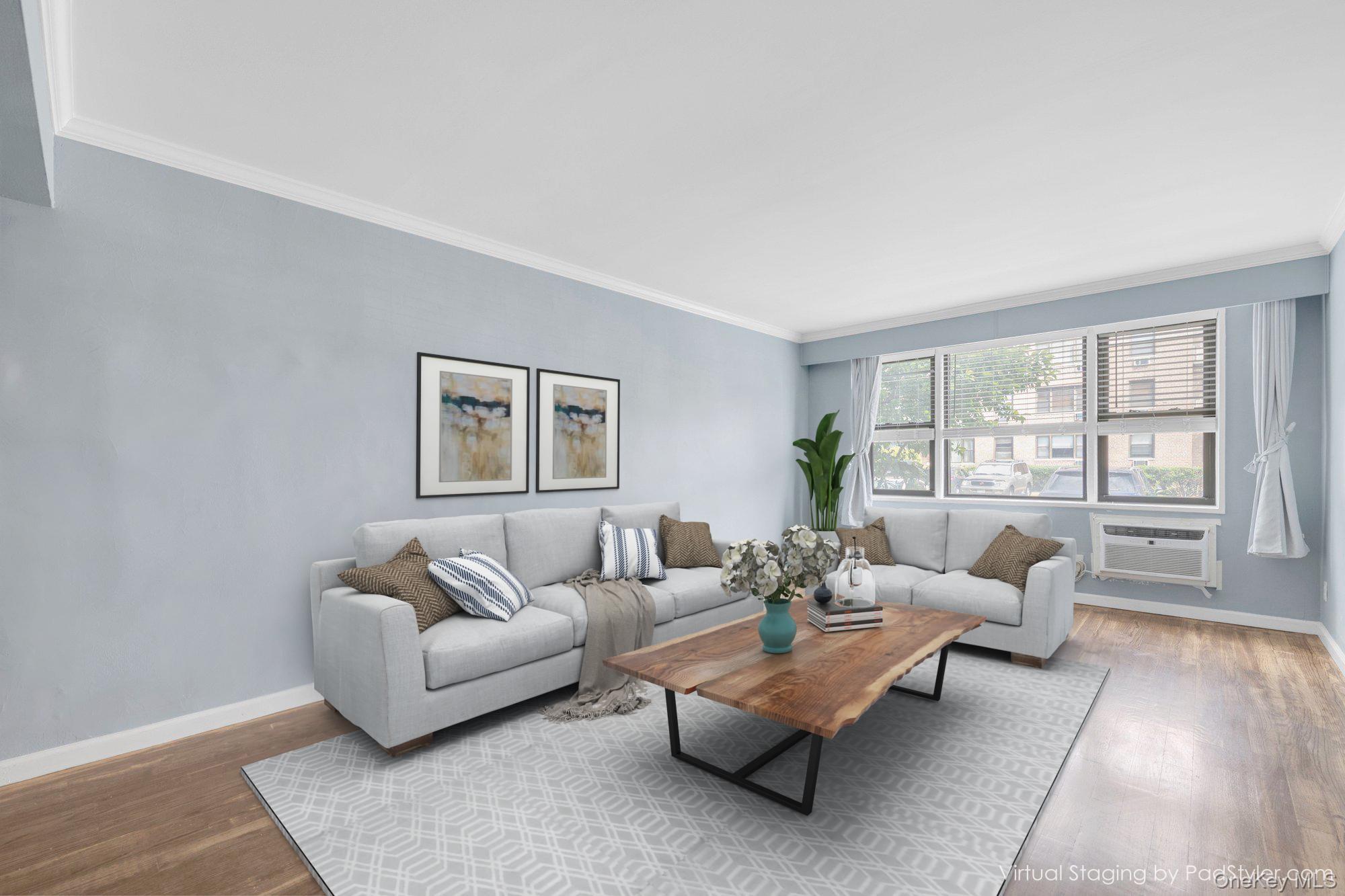 2 Birchwood Court # 1O, Mineola, NY 11501