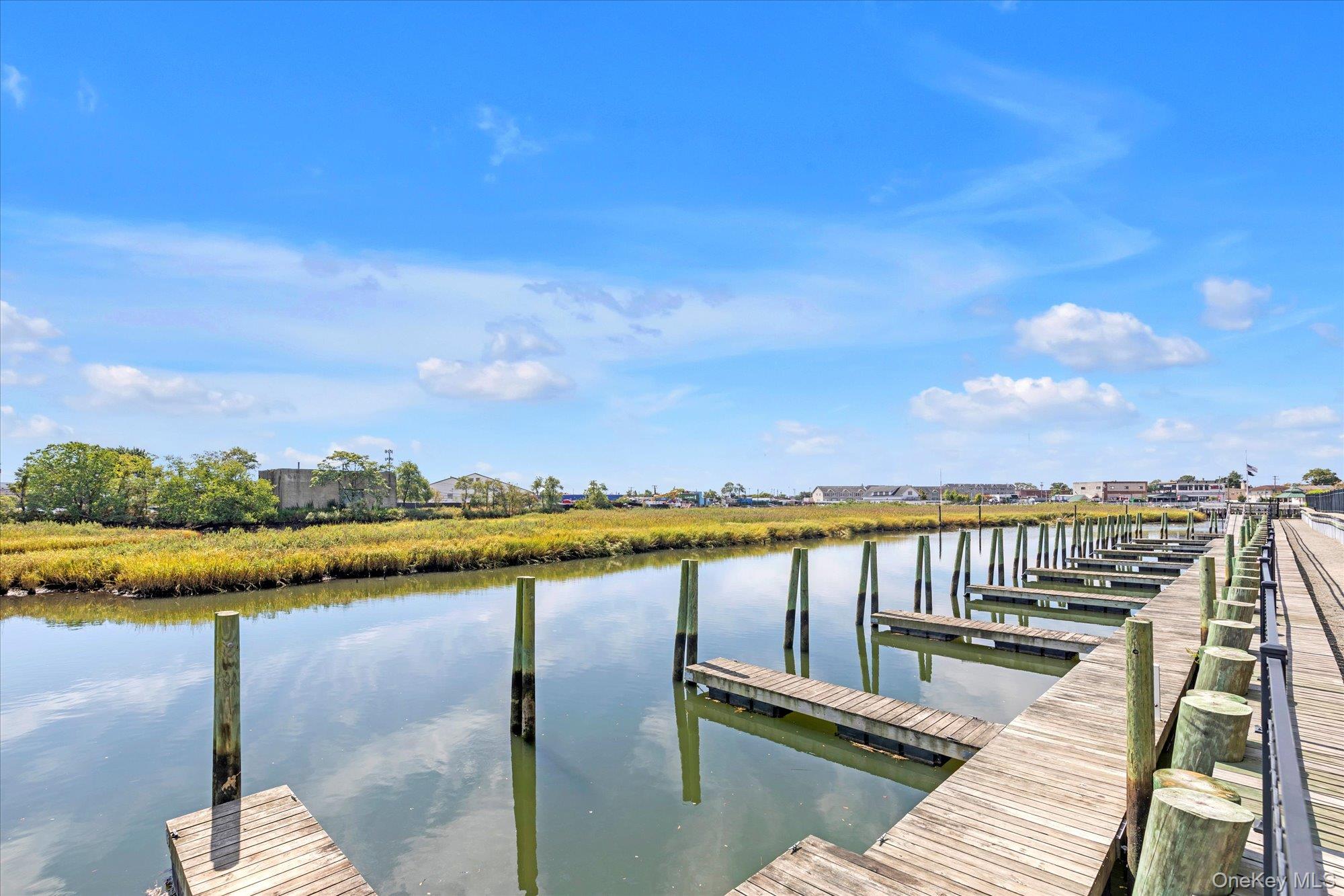 214 Marina Pointe Drive # 214, East Rockaway, NY 11518