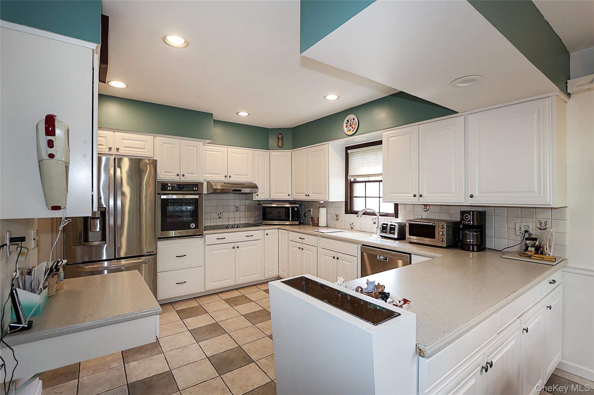 245 Birch Drive # roslyn, Roslyn, NY 11576