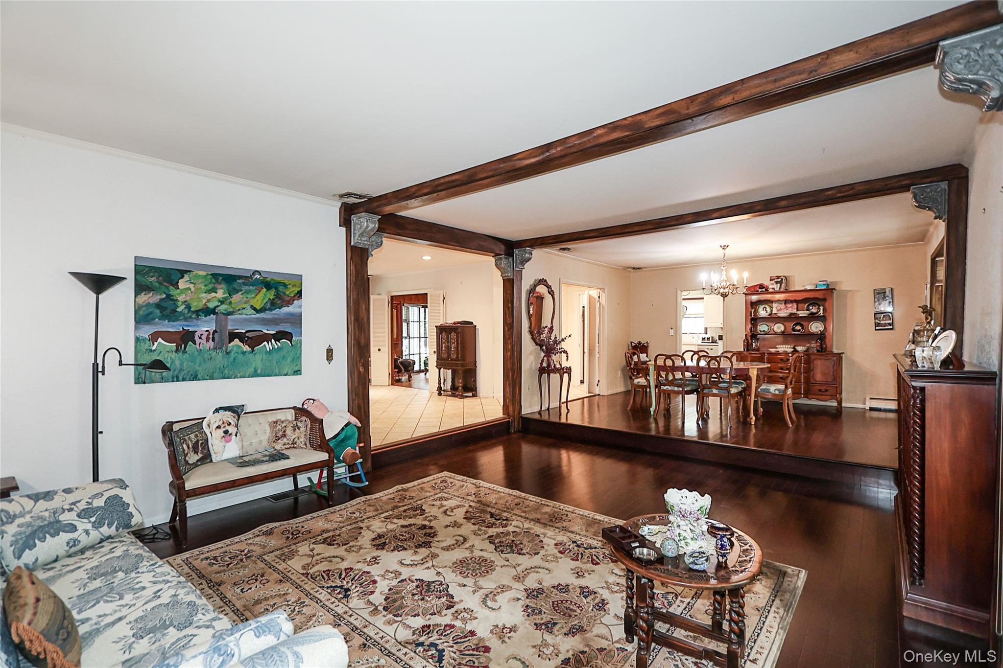 245 Birch Drive # roslyn, Roslyn, NY 11576