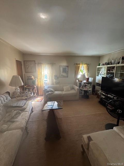 841 E 226th Street, Bronx, NY 10466