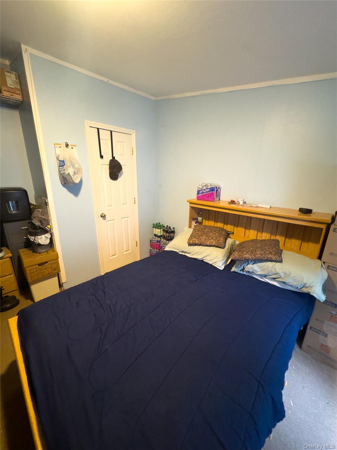 1 Lake View Drive, Grahamsville, NY 12788