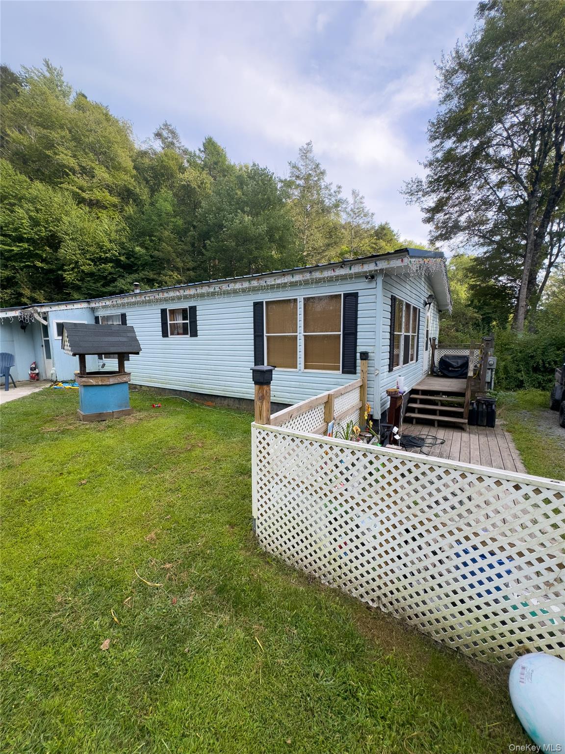 1 Lake View Drive, Grahamsville, NY 12788