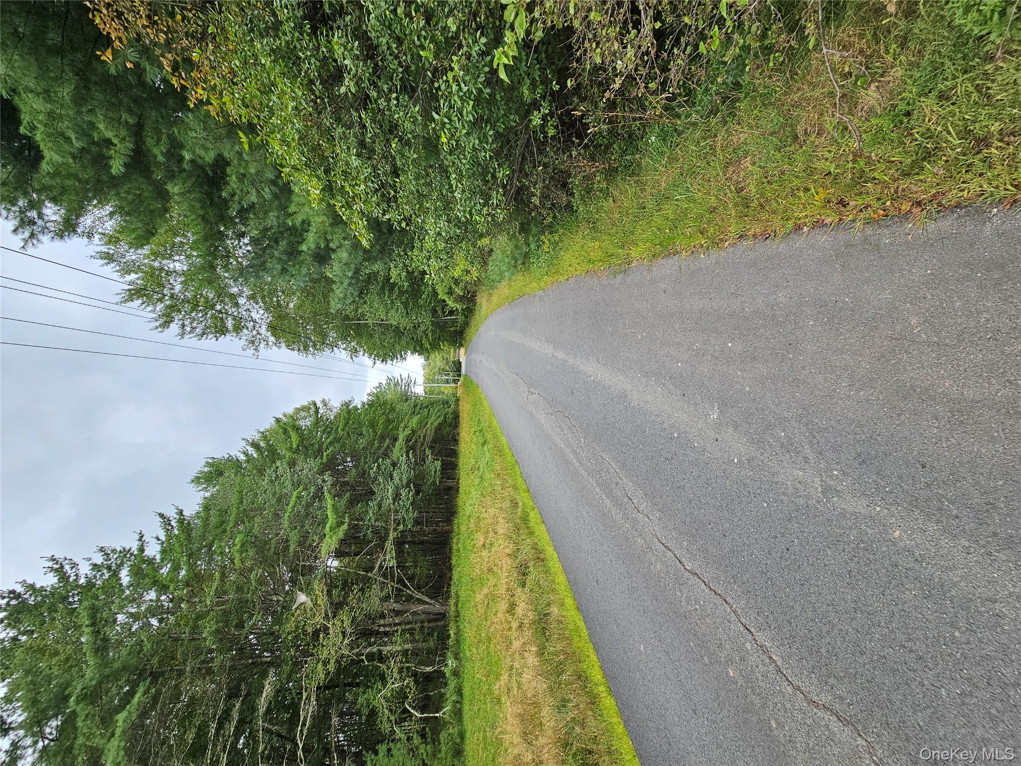 Flower Ave. & State Route 55, Kauneonga Lake, NY 12720