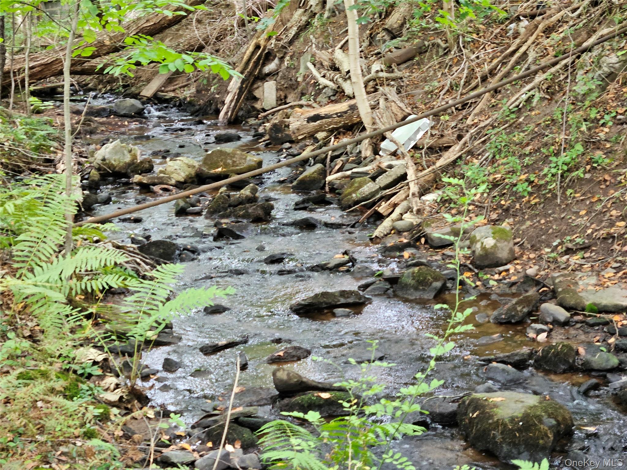 Flower Ave. & State Route 55, Kauneonga Lake, NY 12720