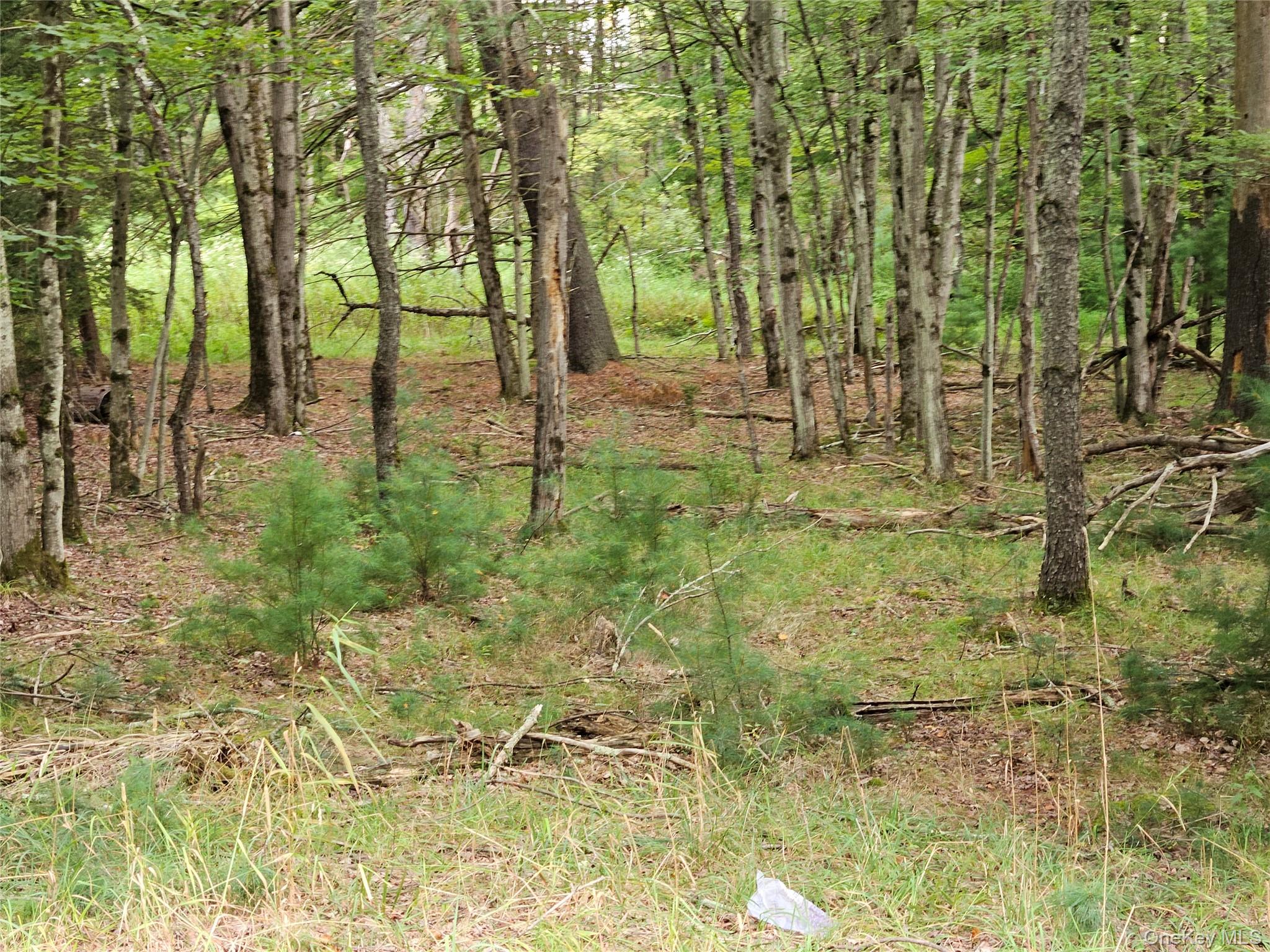 Flower Ave. & State Route 55, Kauneonga Lake, NY 12720