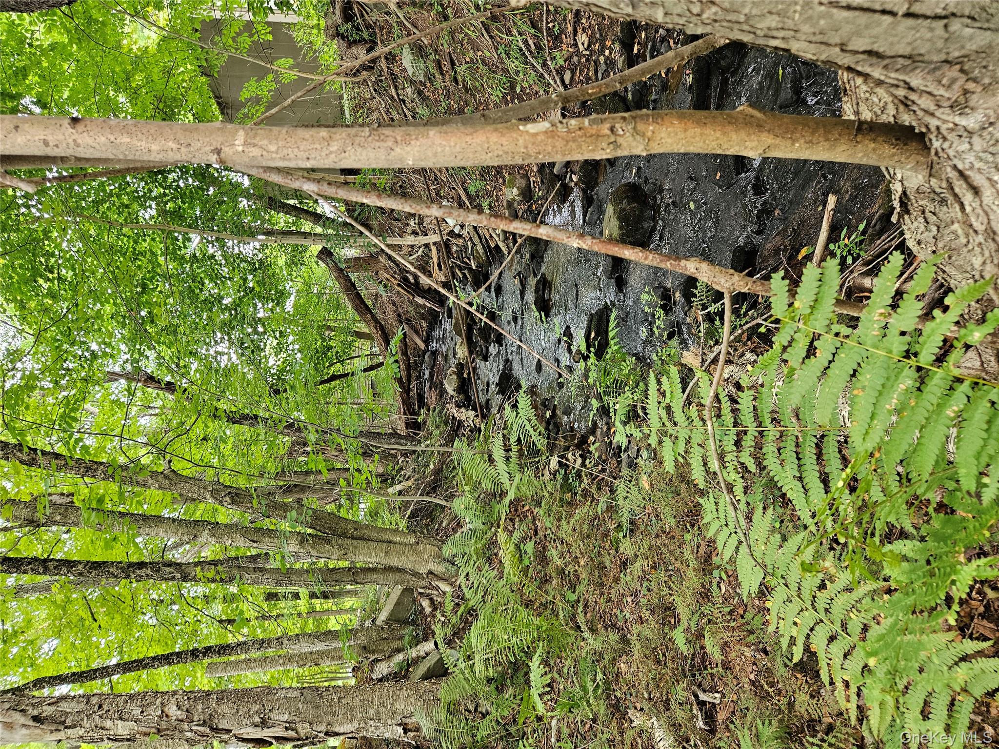 Flower Ave. & State Route 55, Kauneonga Lake, NY 12720