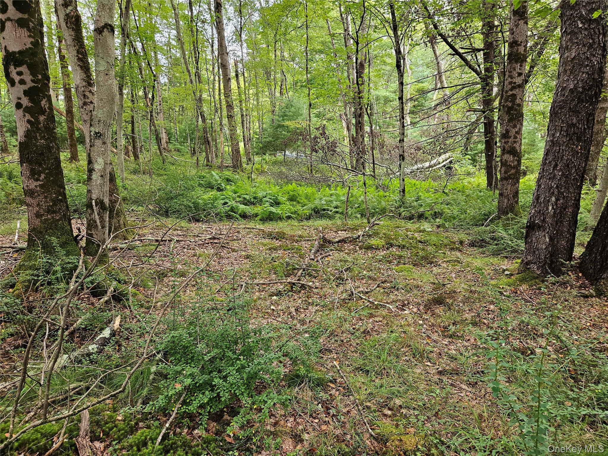 Flower Ave. & State Route 55, Kauneonga Lake, NY 12720