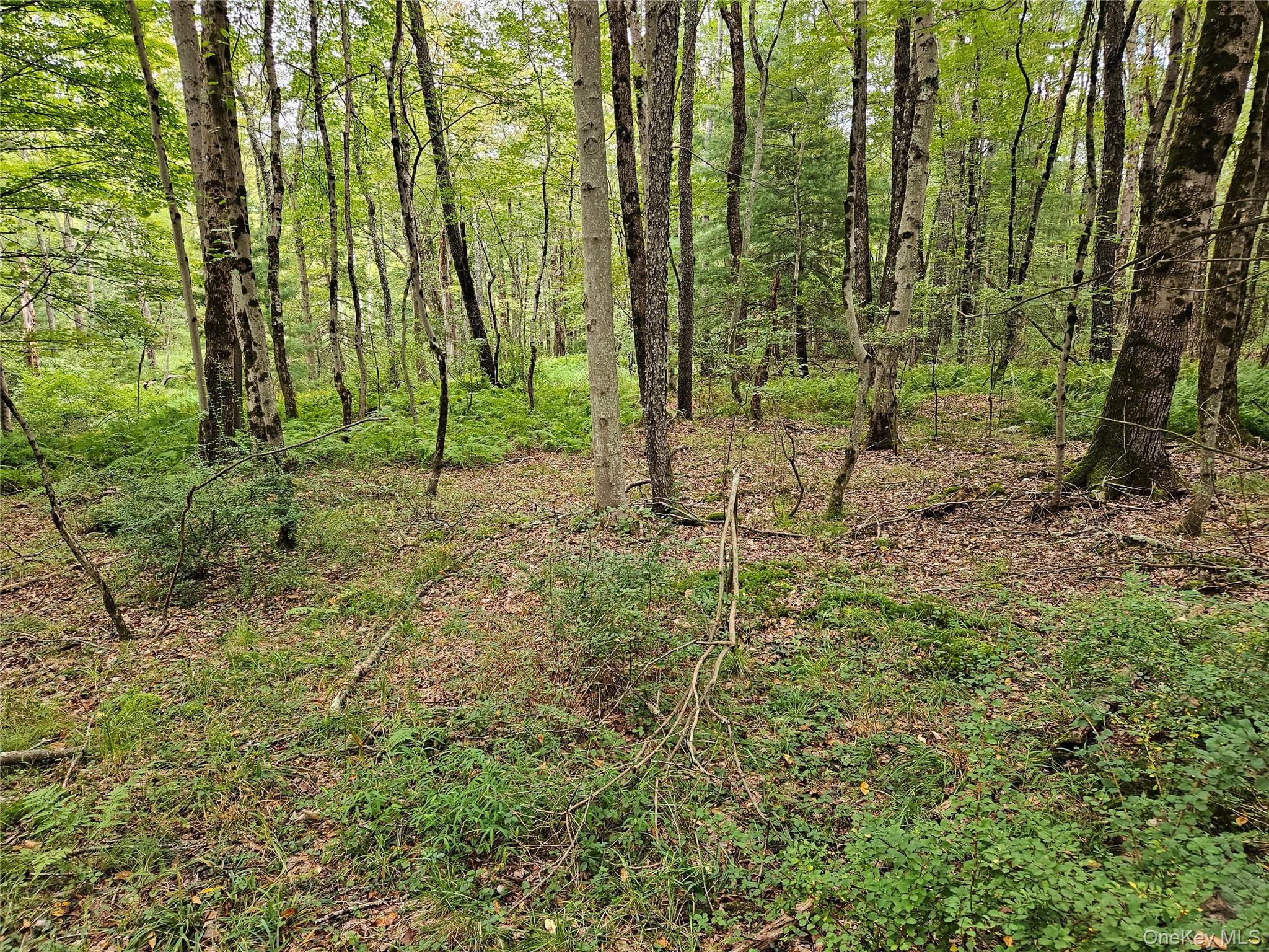 Flower Ave. & State Route 55, Kauneonga Lake, NY 12720