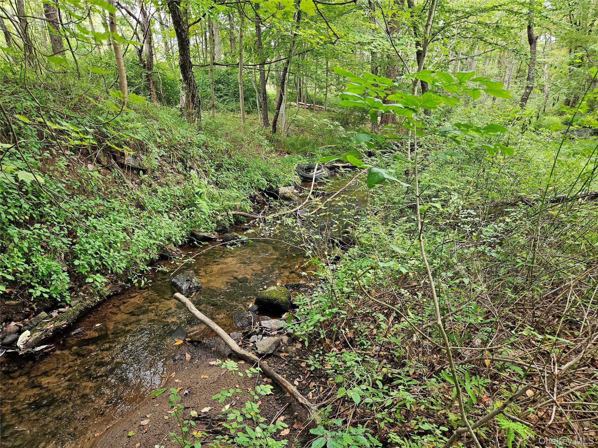 Flower Ave. & State Route 55, Kauneonga Lake, NY 12720