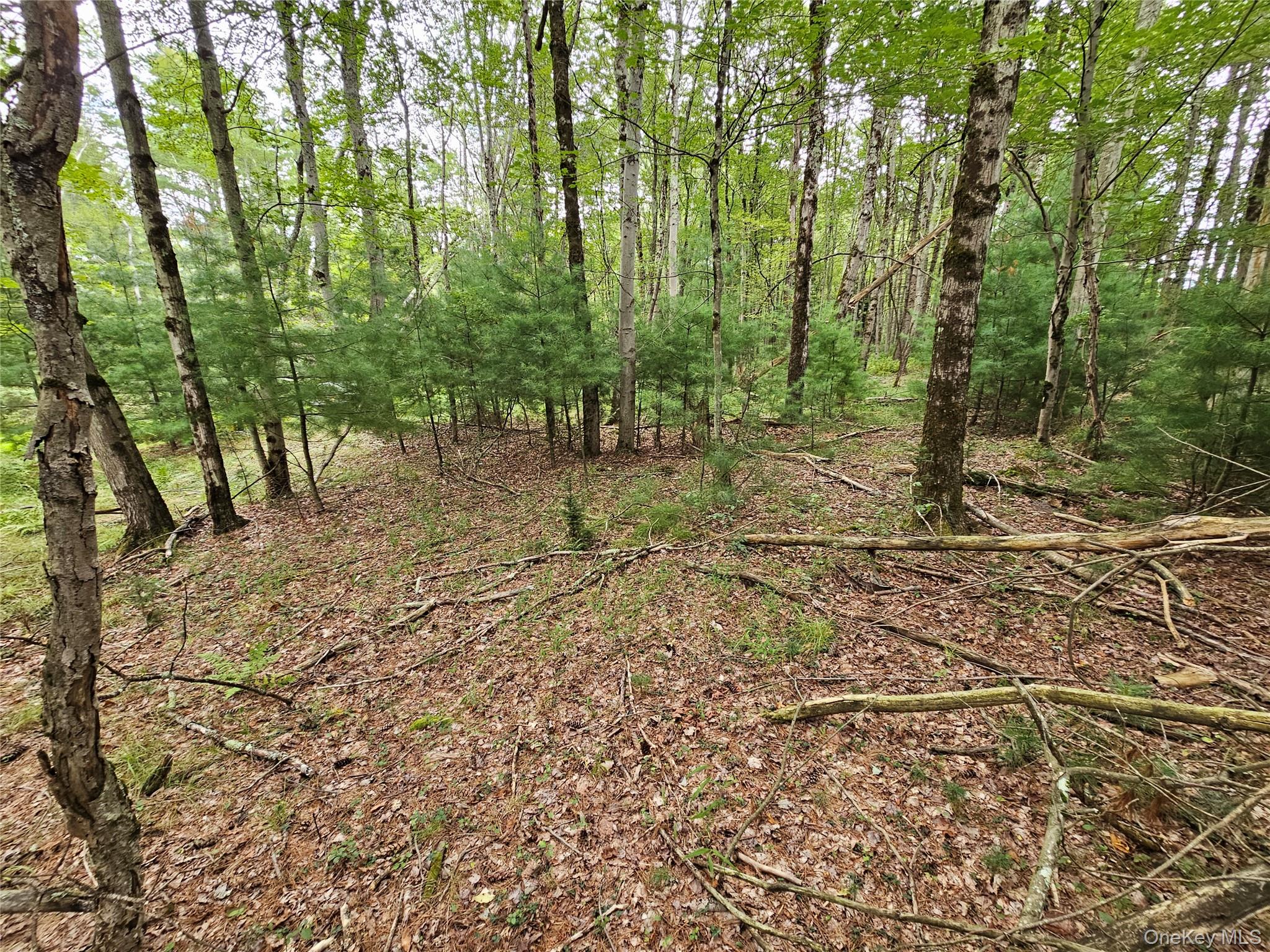 Flower Ave. & State Route 55, Kauneonga Lake, NY 12720