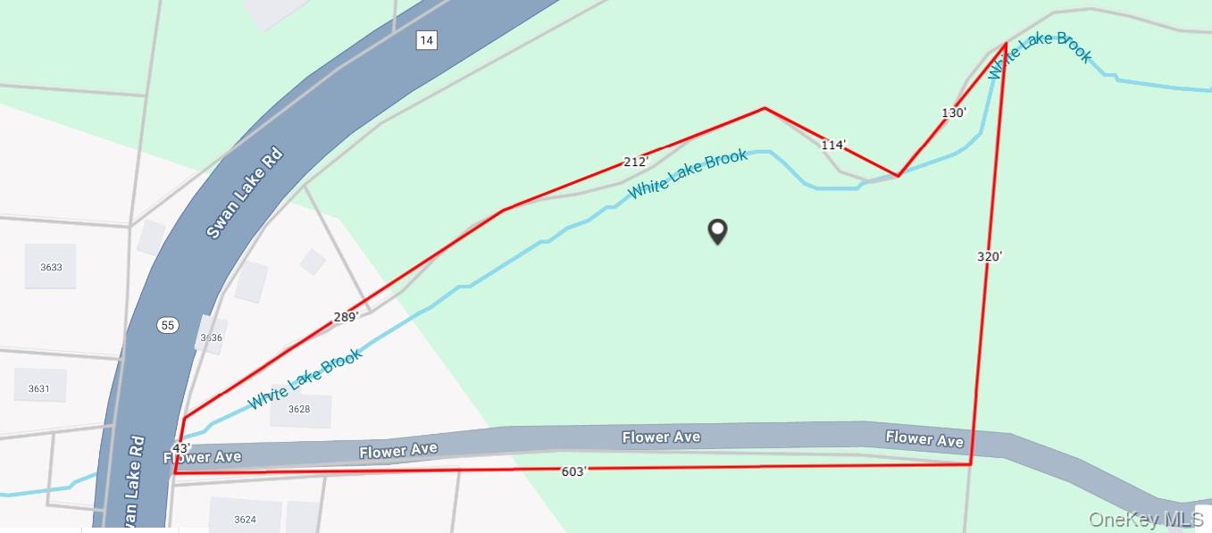 Flower Ave. & State Route 55, Kauneonga Lake, NY 12720